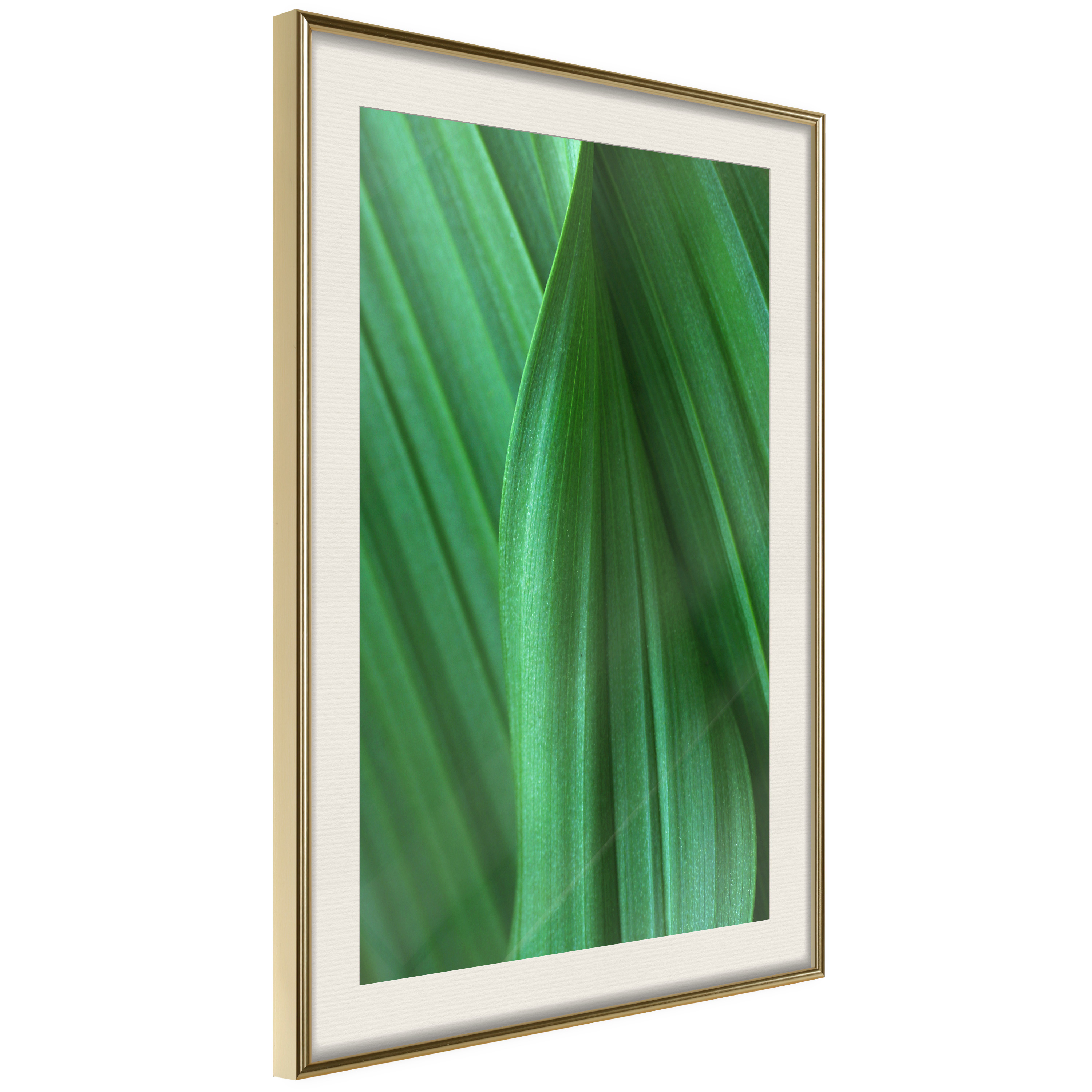 Poster - Leaf Structure - 30x45