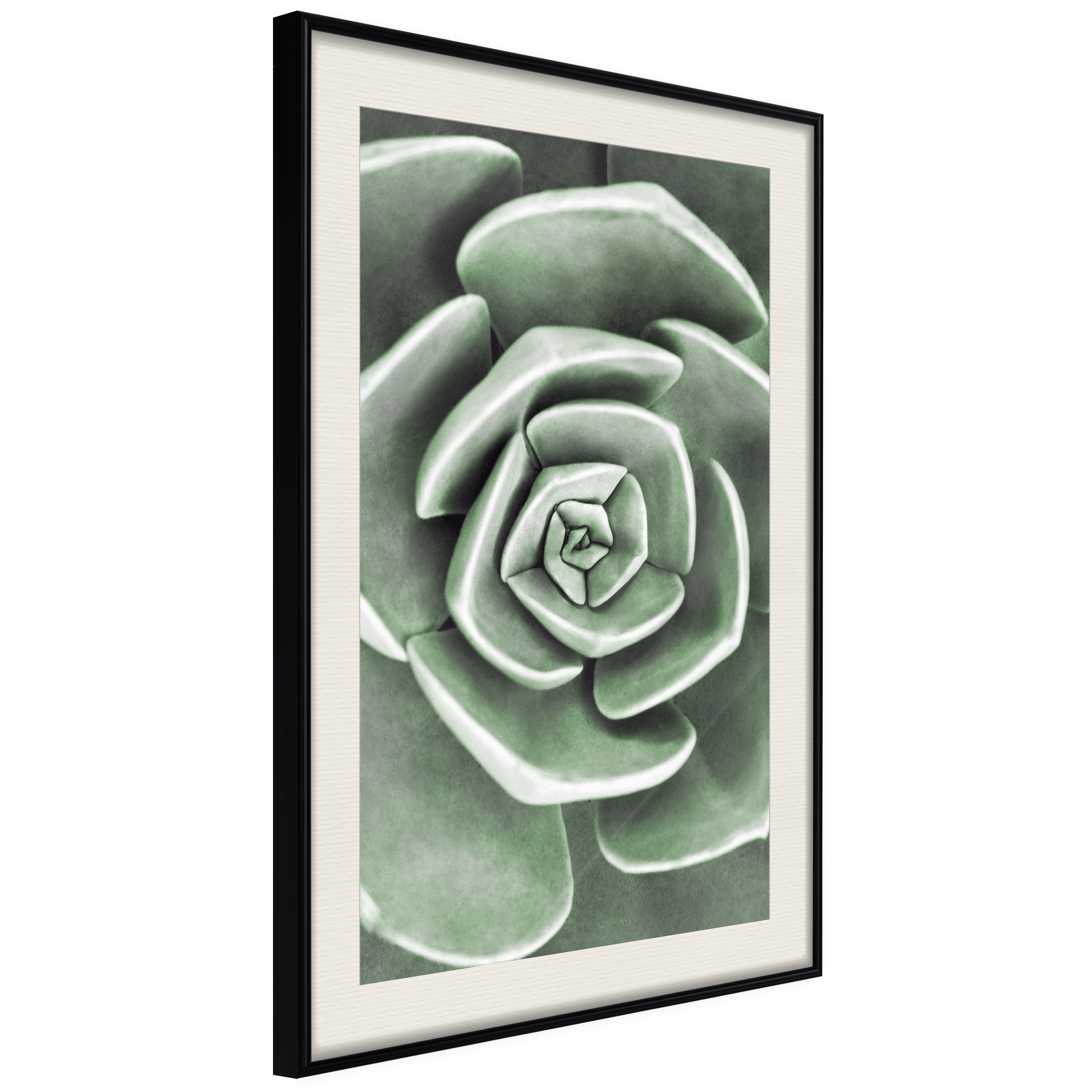 Poster - Robust Plant - 20x30
