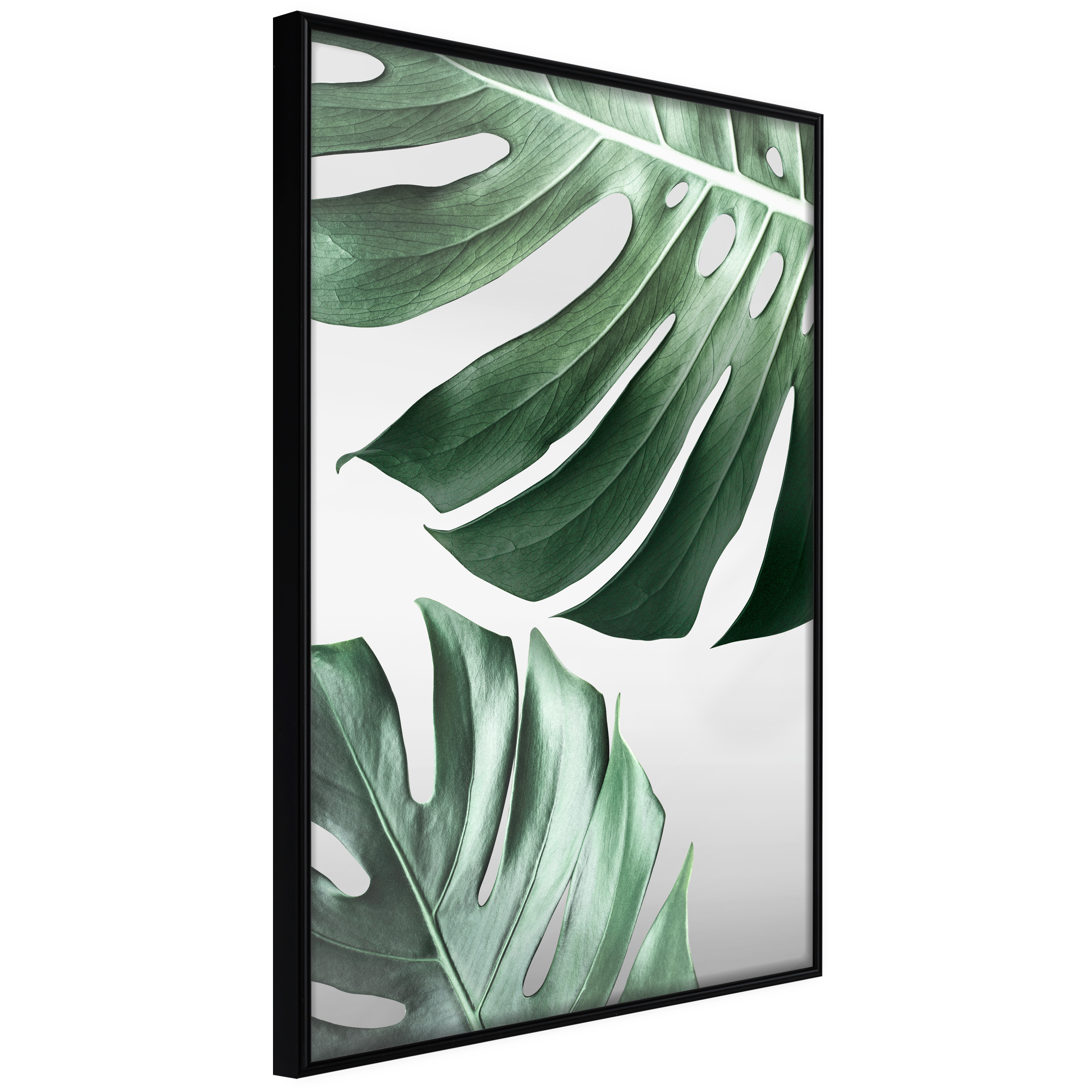 Poster - Leaves Like Swiss Cheese - 20x30