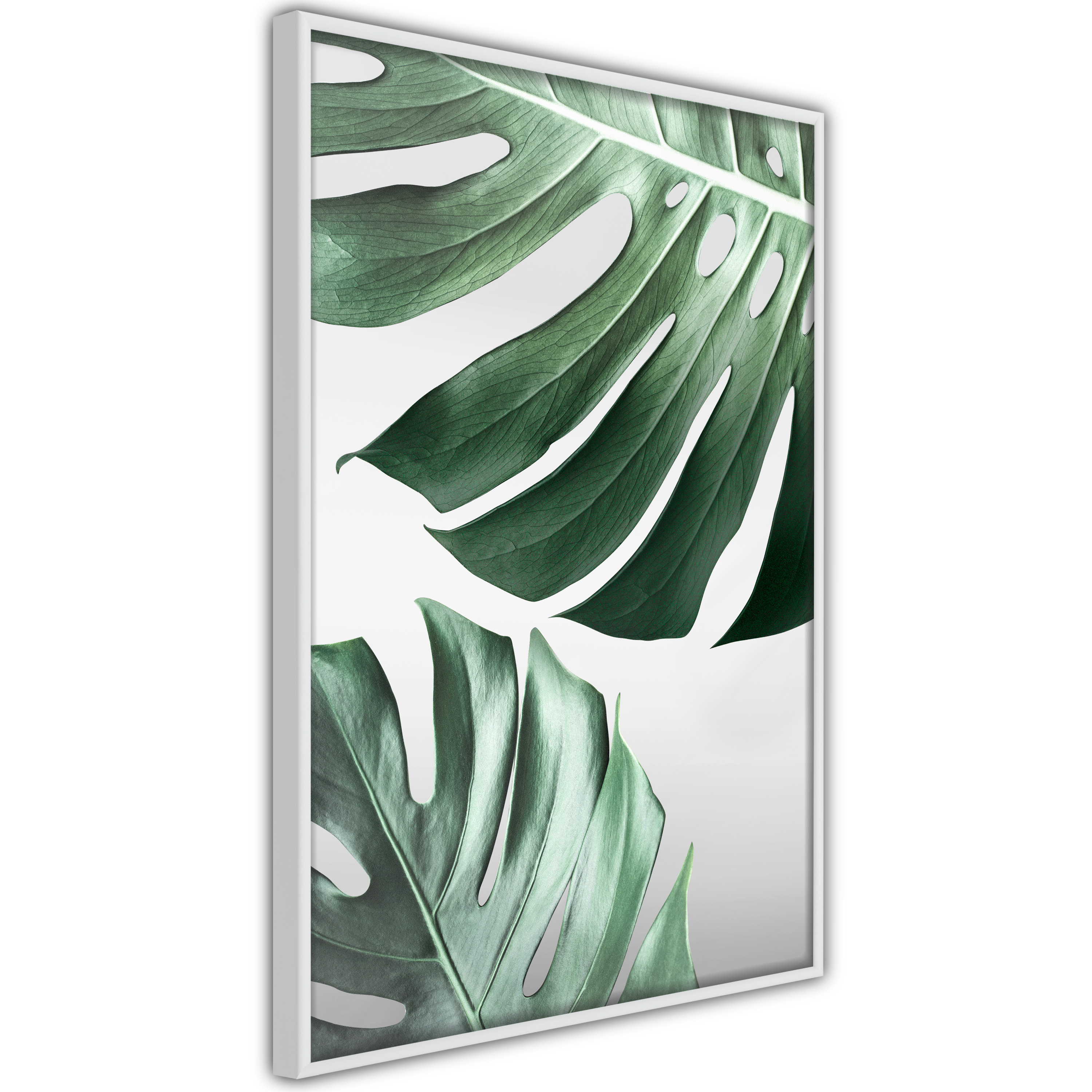 Poster - Leaves Like Swiss Cheese - 20x30