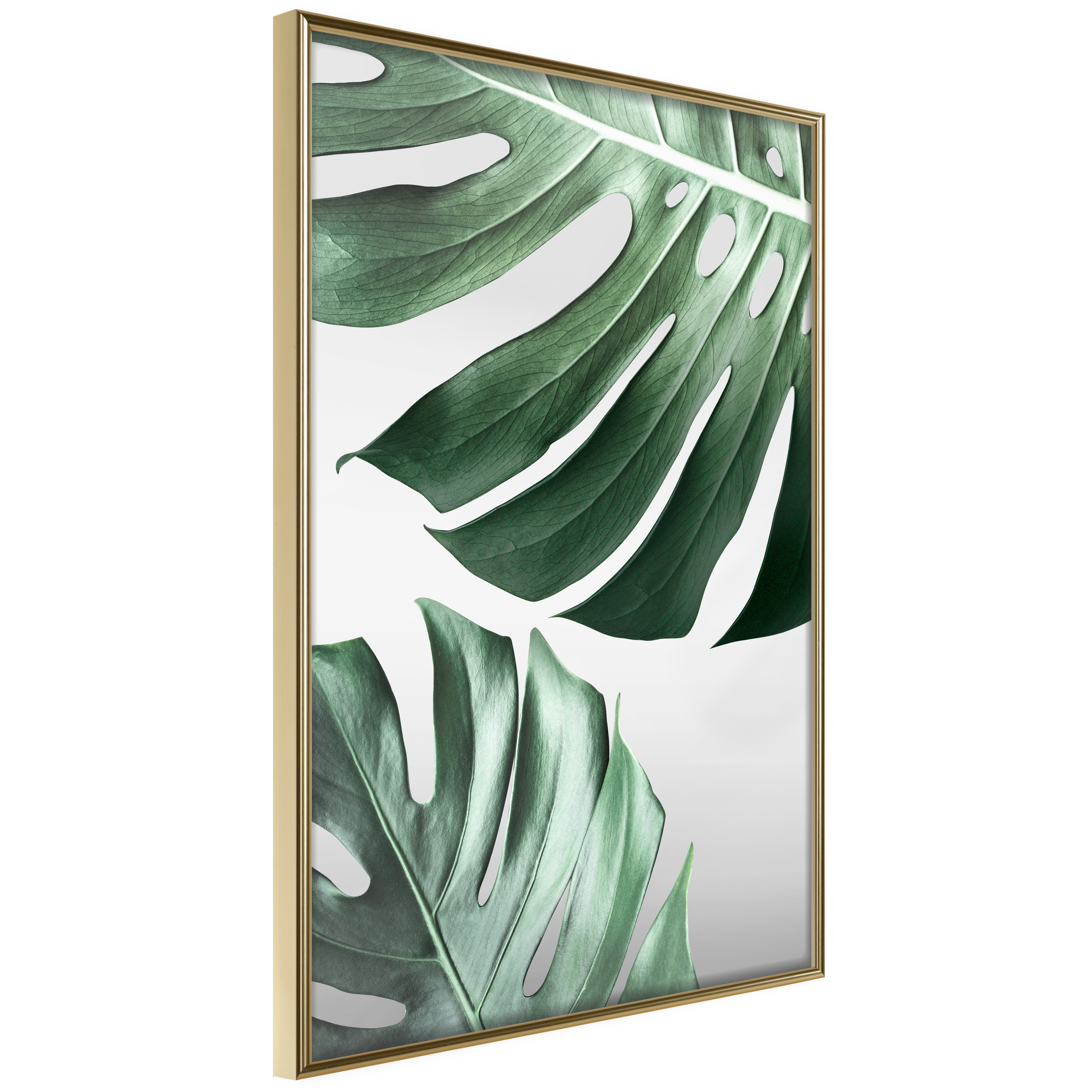 Poster - Leaves Like Swiss Cheese - 30x45