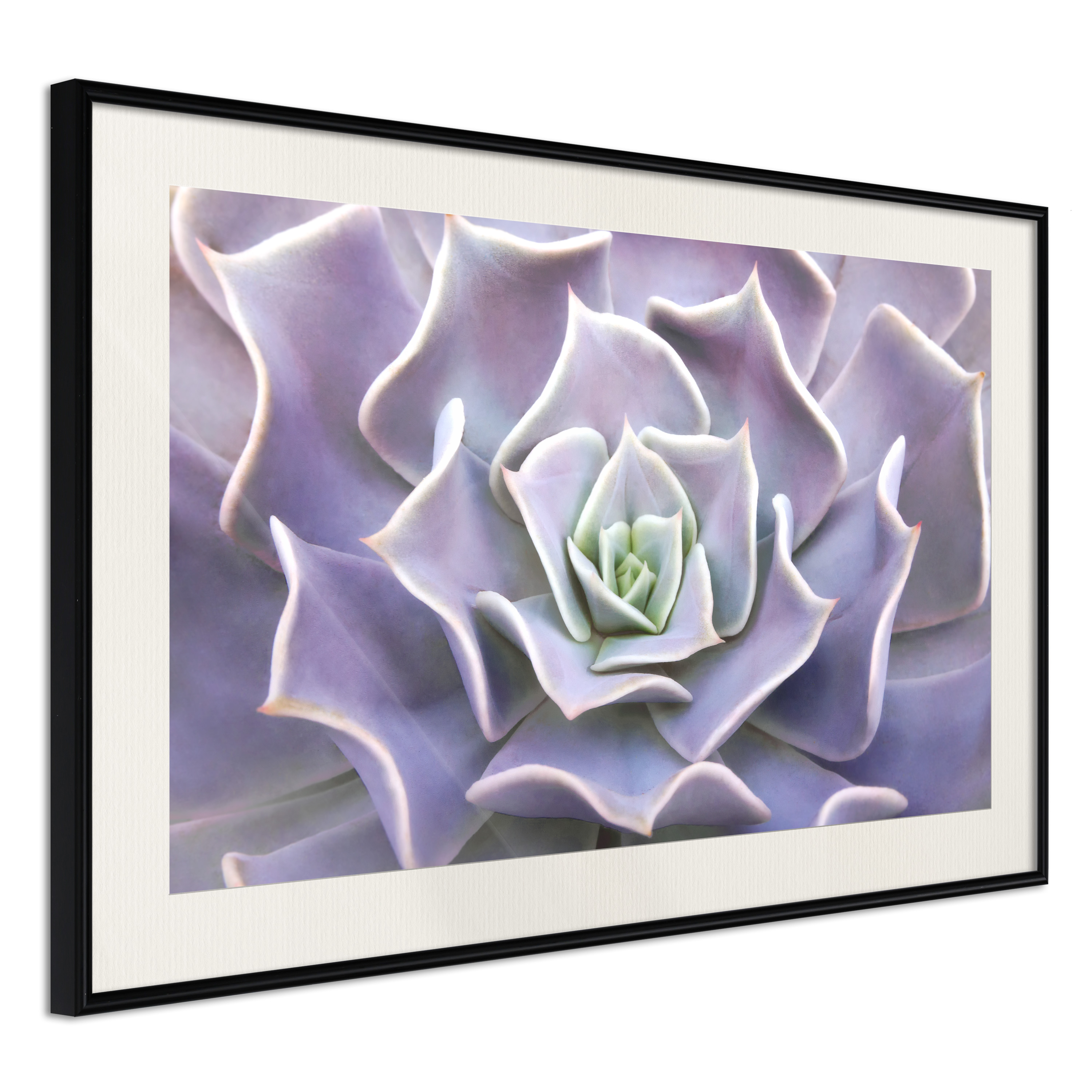 Poster - Like a Flower - 45x30