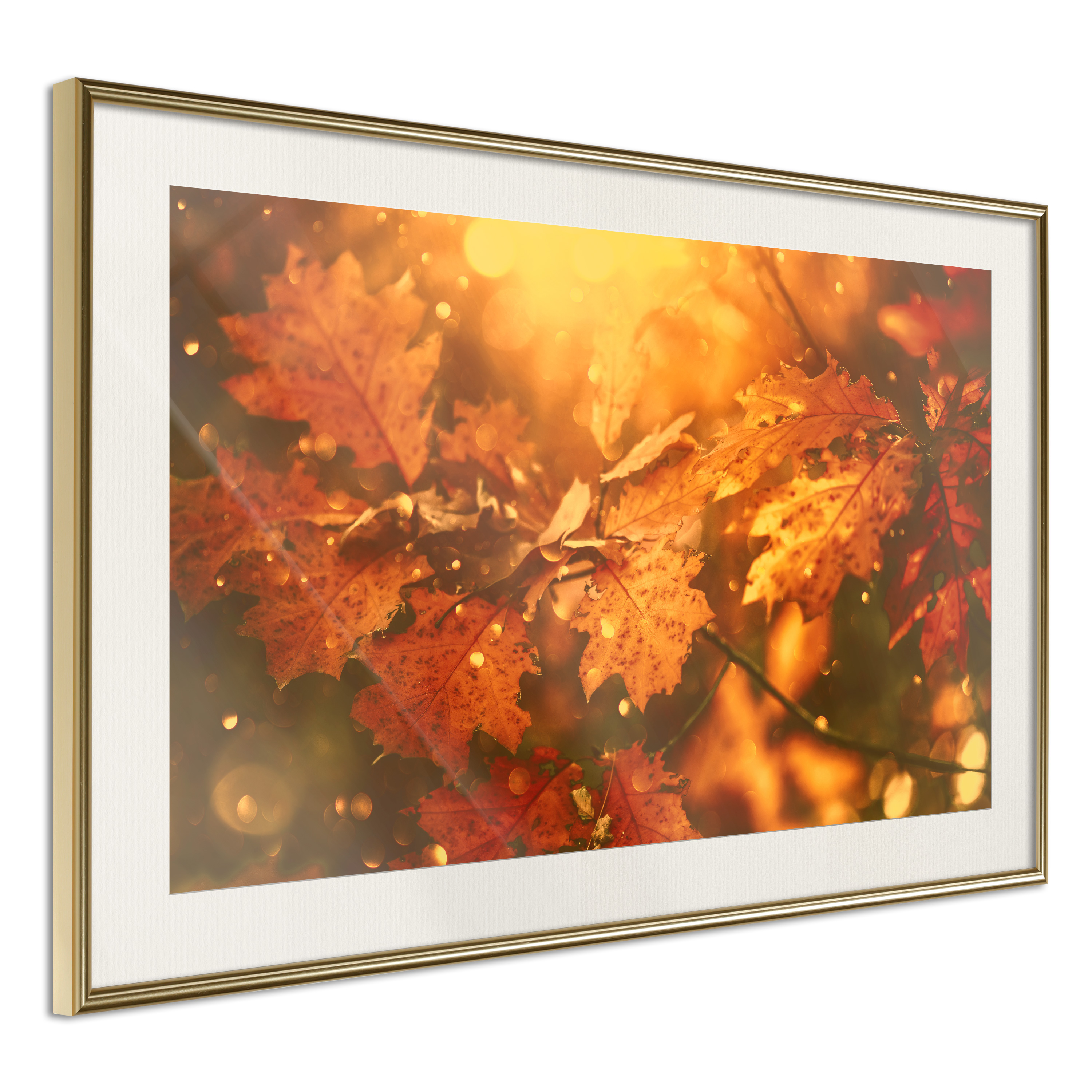 Poster - Golden Autumn - 45x30