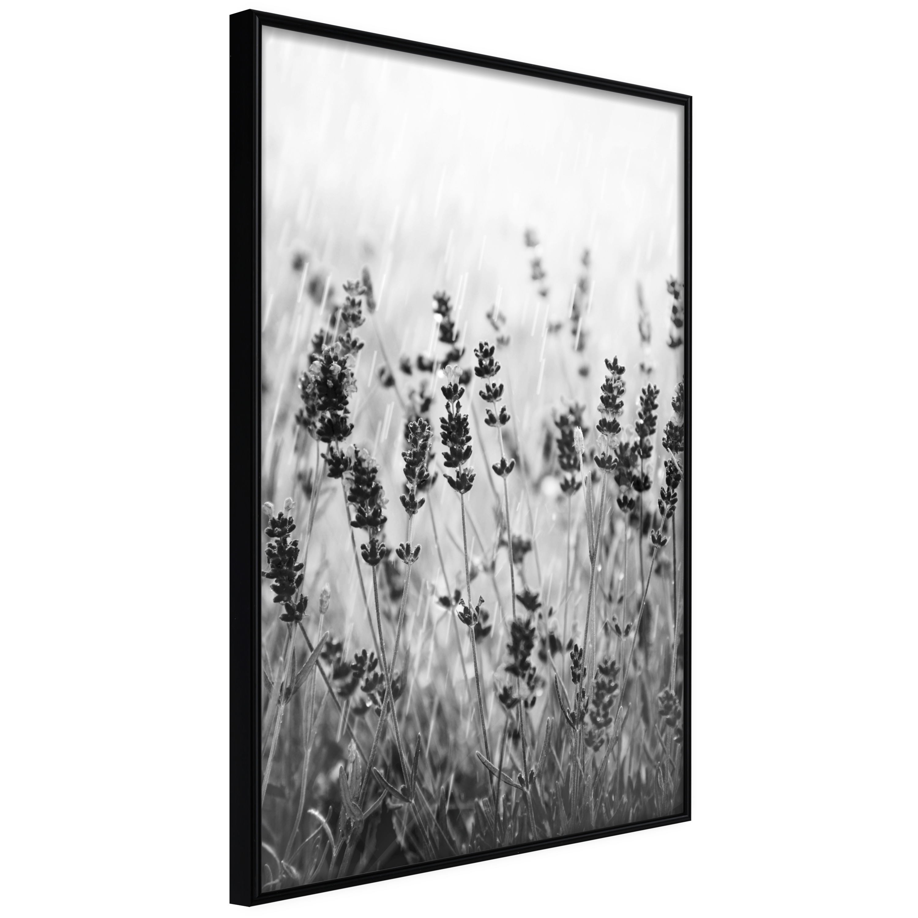 Poster - Shadow of Meadow - 40x60