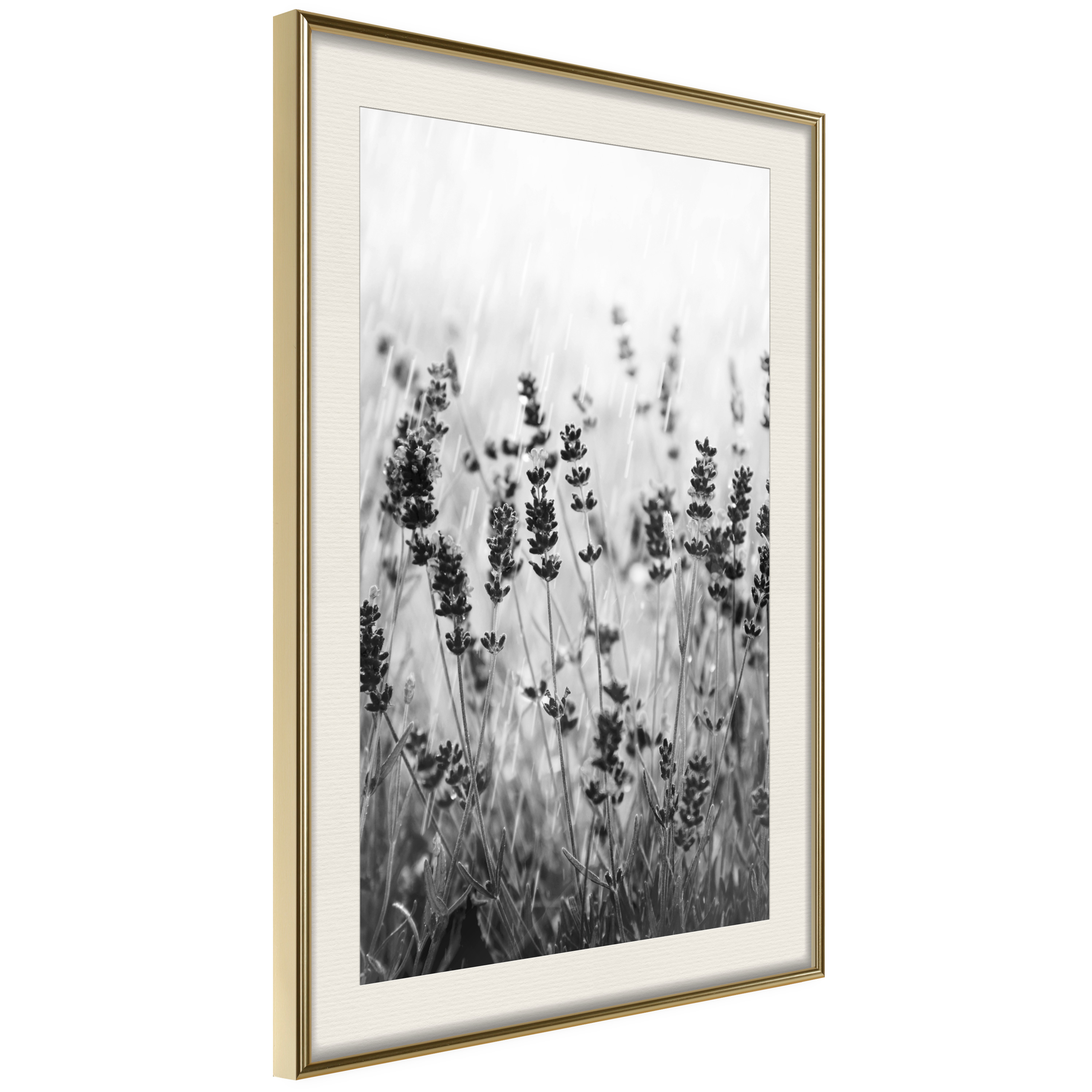 Poster - Shadow of Meadow - 30x45