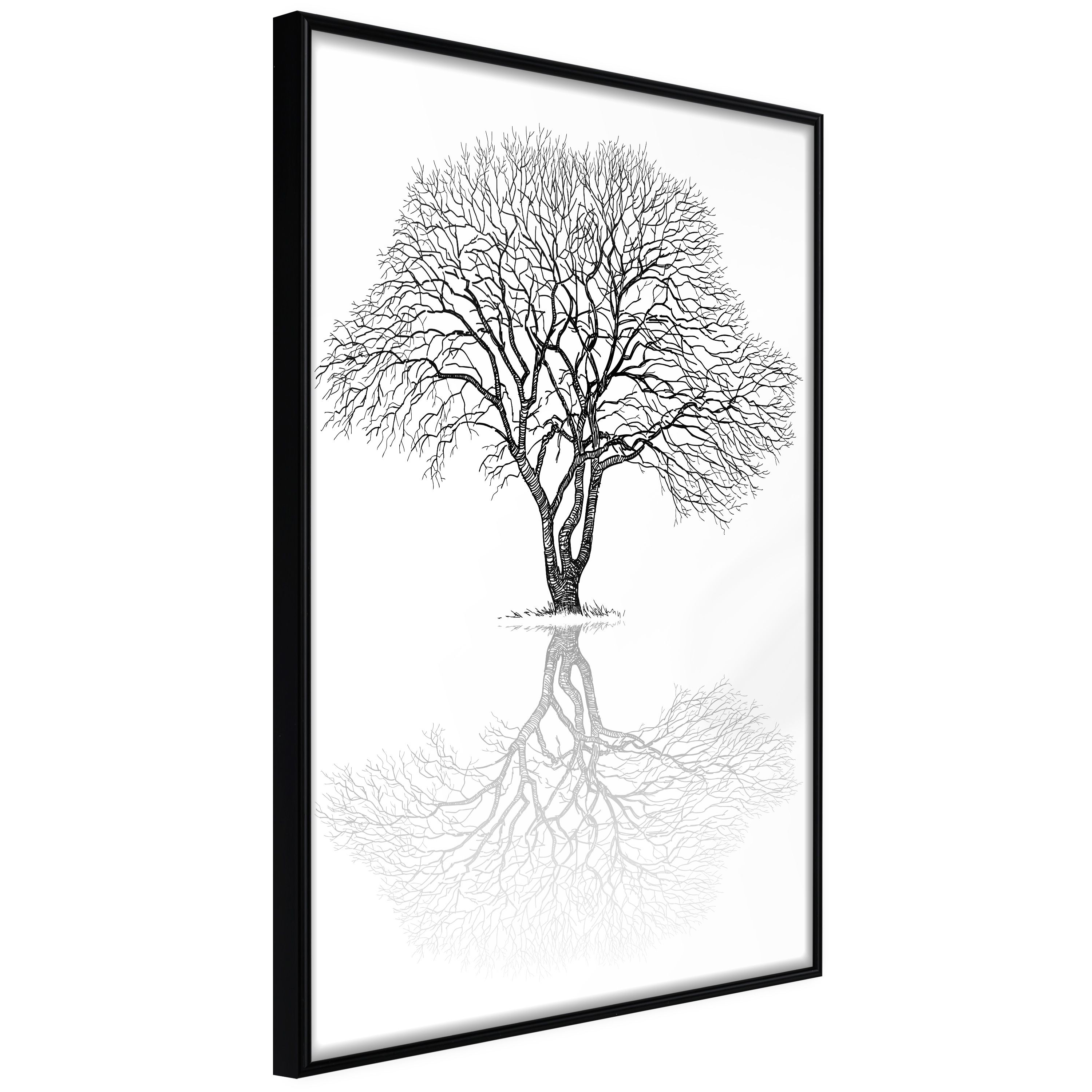 Poster - Roots or Treetop? - 30x45