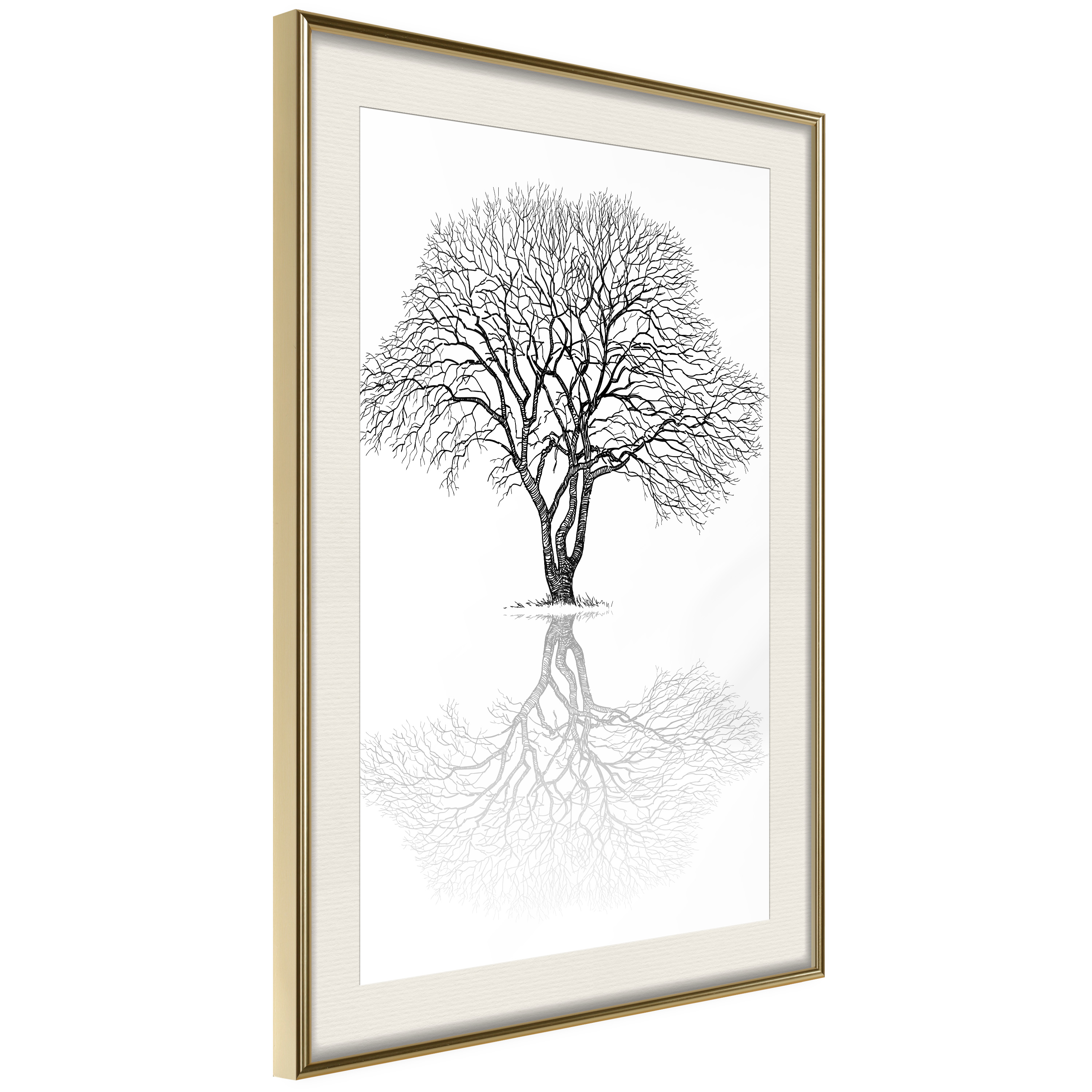 Poster - Roots or Treetop? - 30x45