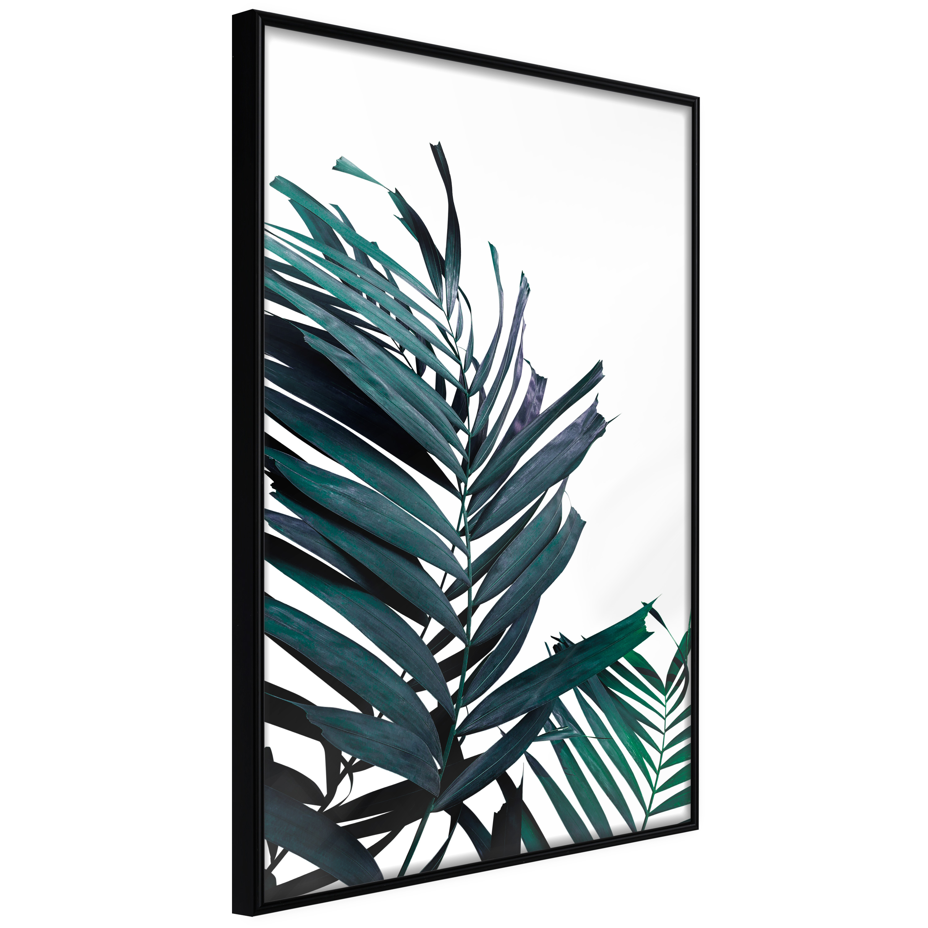Poster - Evergreen Palm Leaves - 20x30