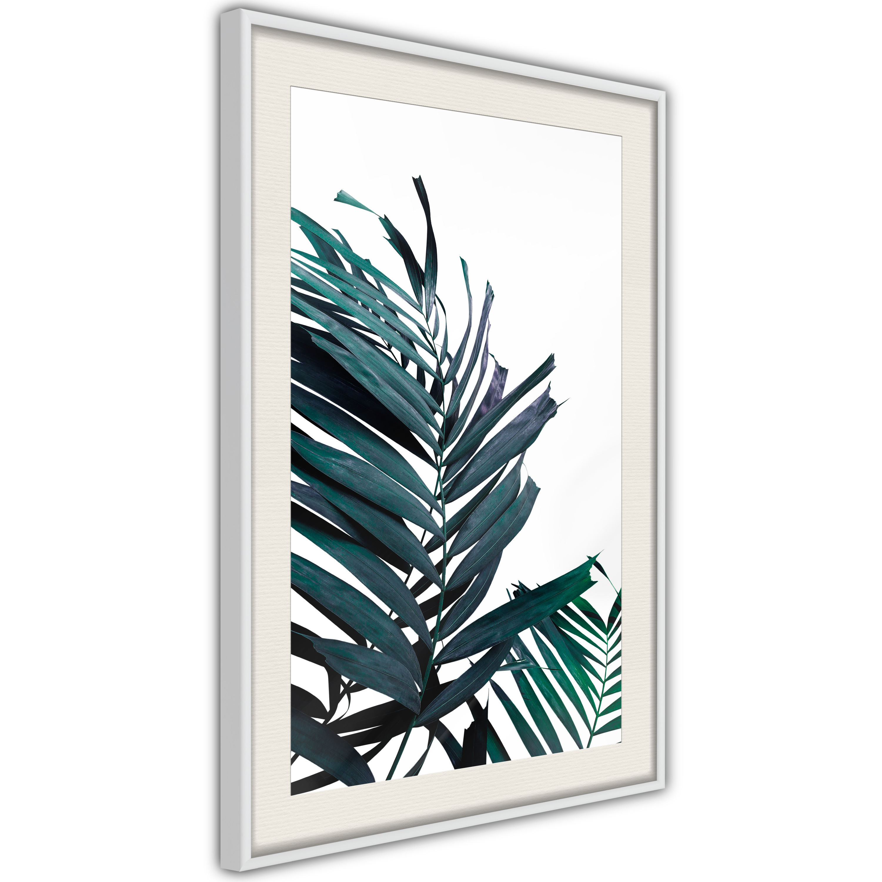 Poster - Evergreen Palm Leaves - 40x60