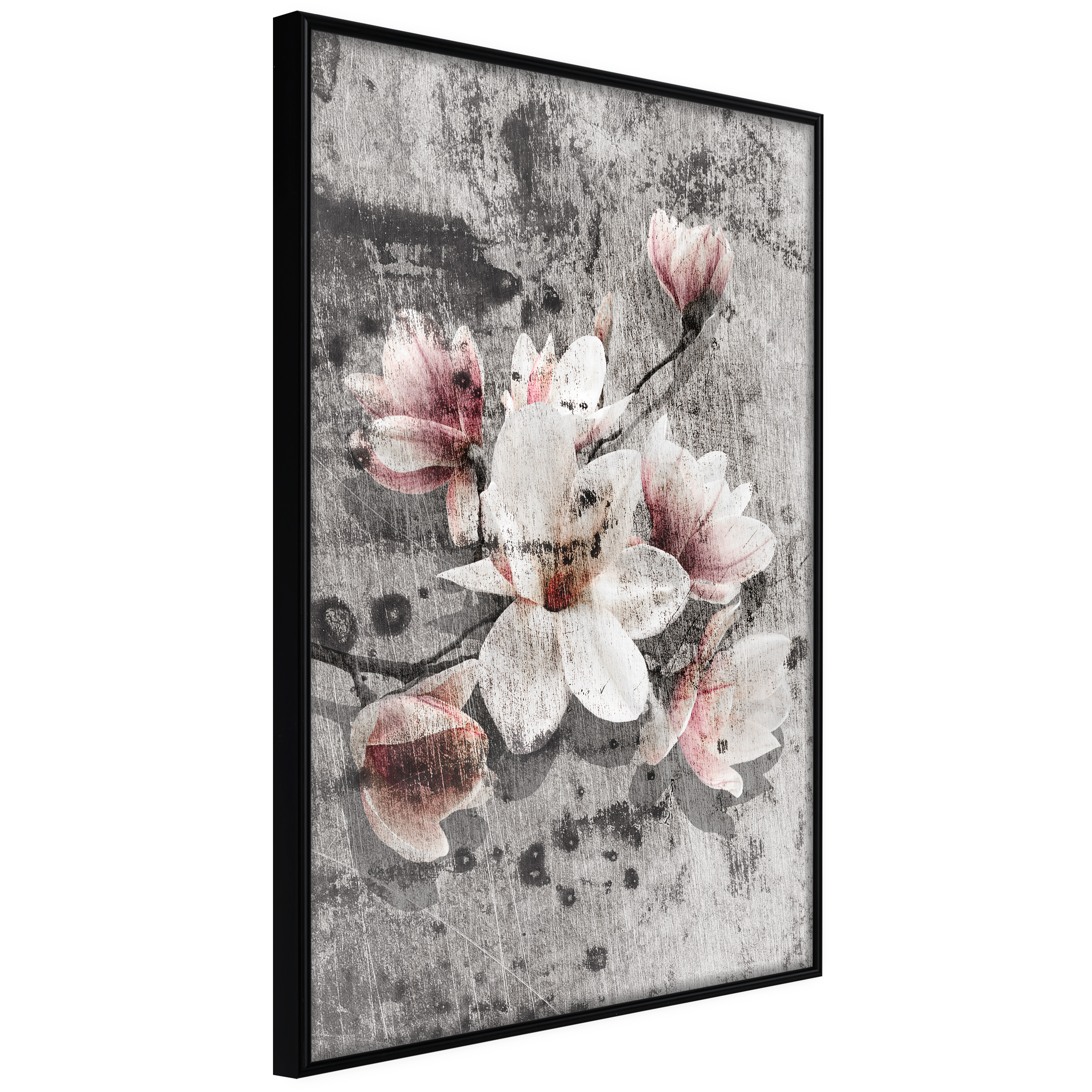 Poster - Flowers on Concrete - 30x45