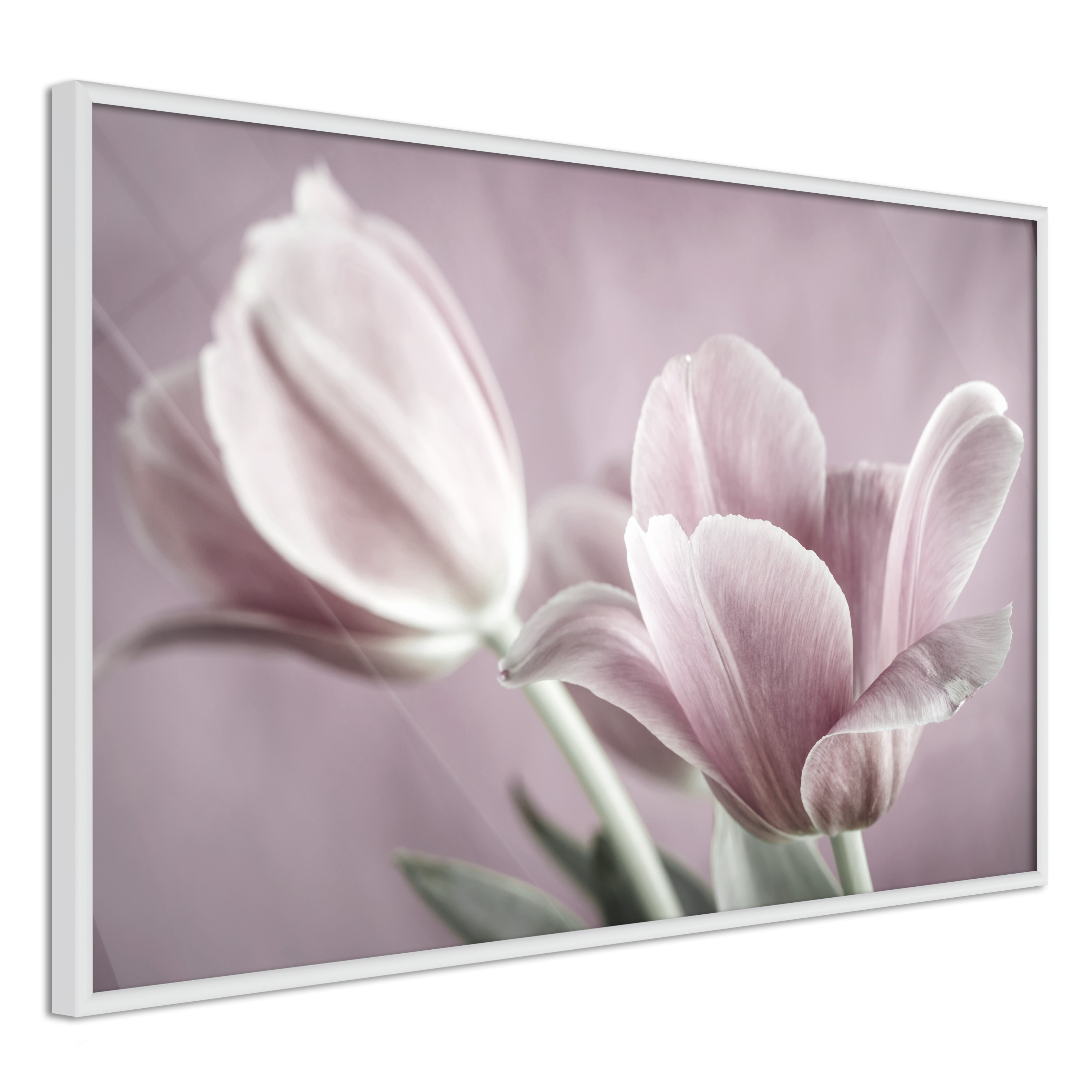 Poster - Pastel Tulips I - 90x60