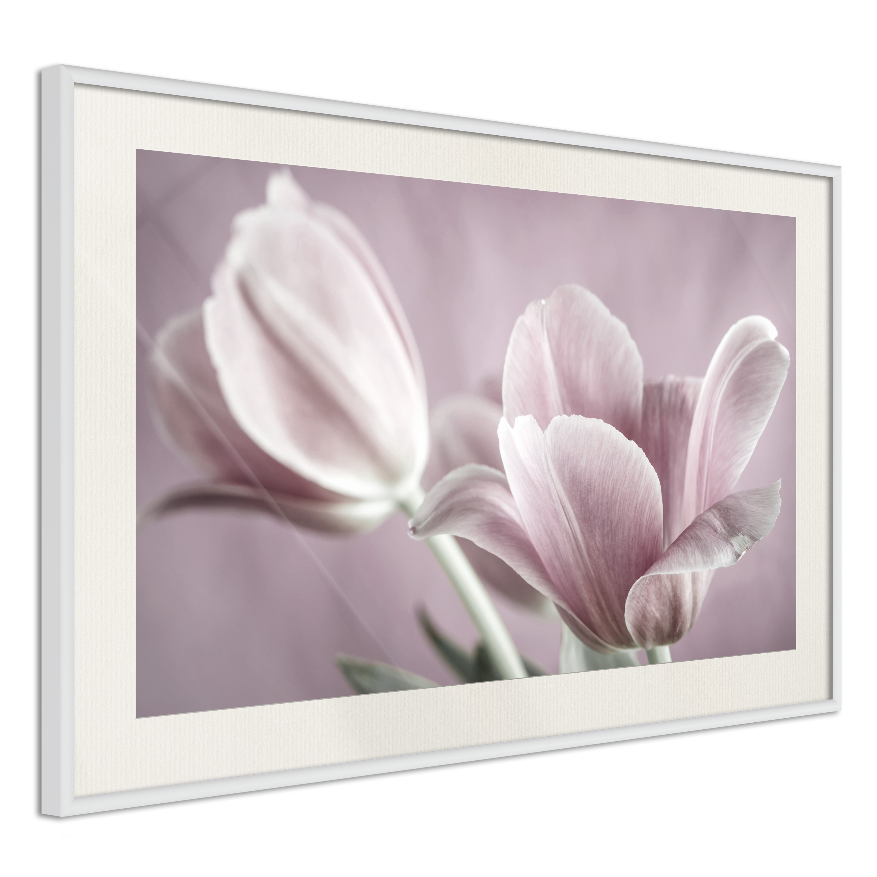 Poster - Pastel Tulips I - 45x30