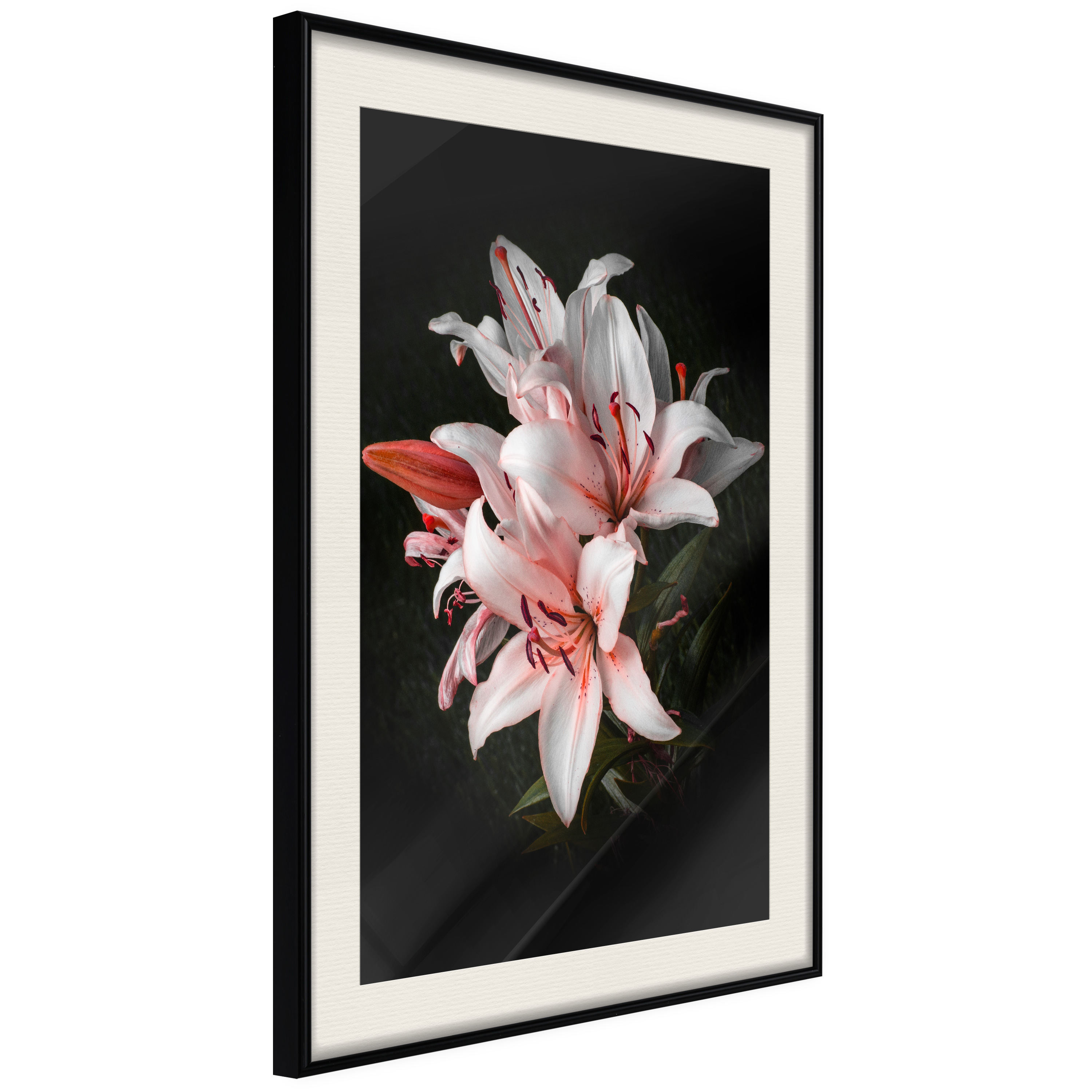 Poster - Pale Pink Lilies - 30x45