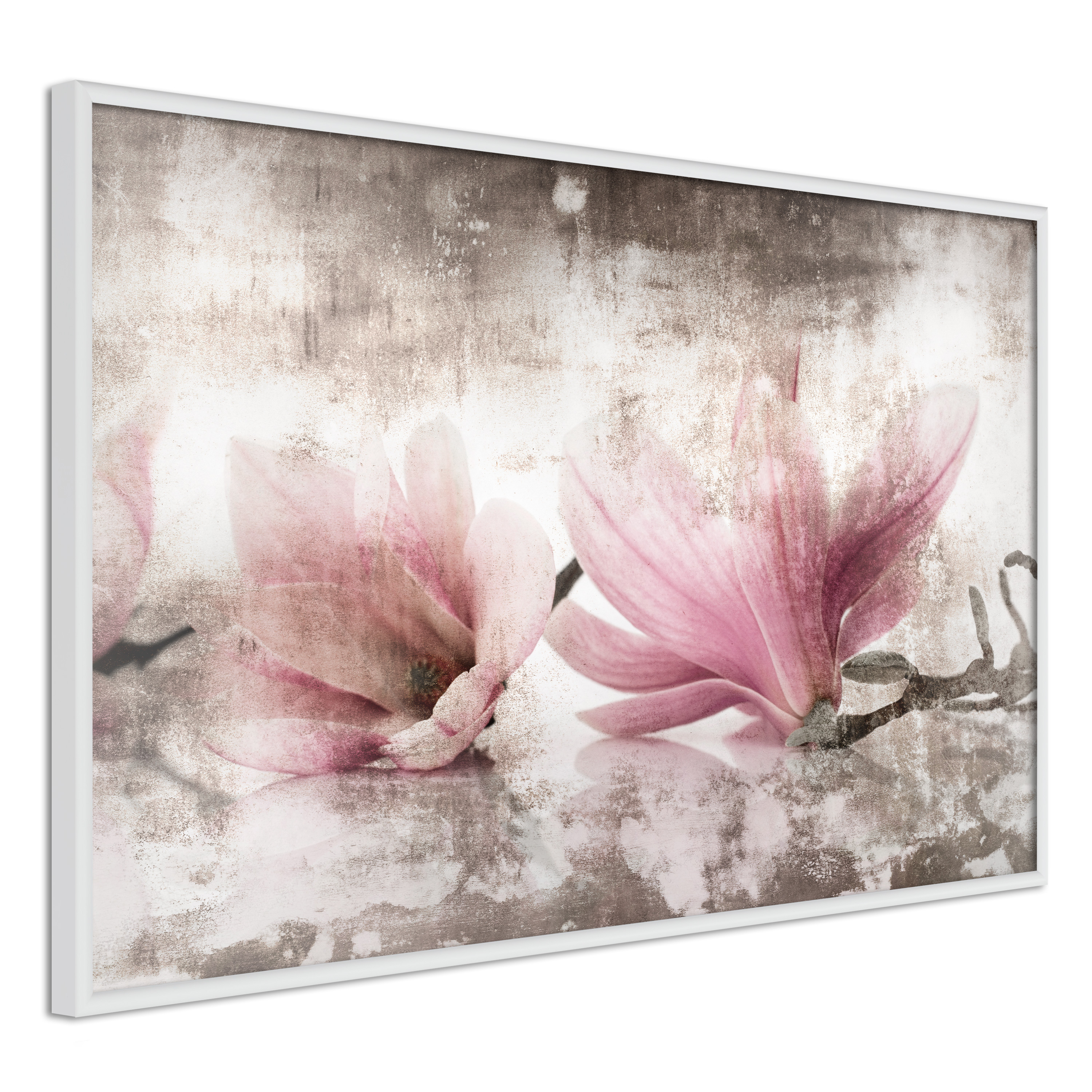 Poster - Picked Magnolias - 60x40