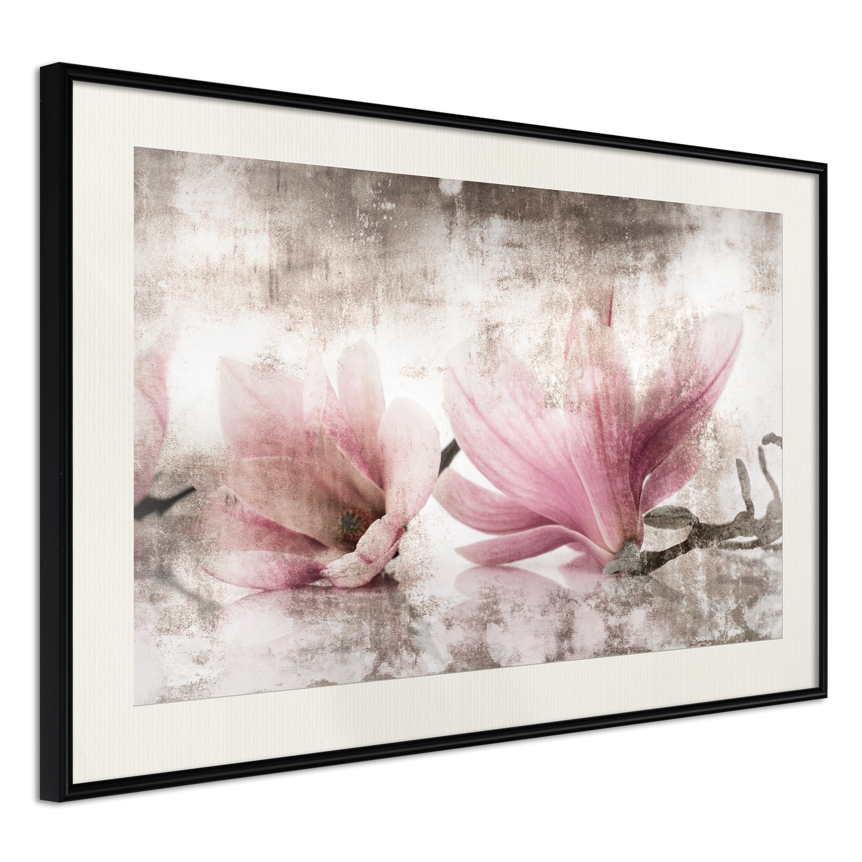 Poster - Picked Magnolias - 45x30