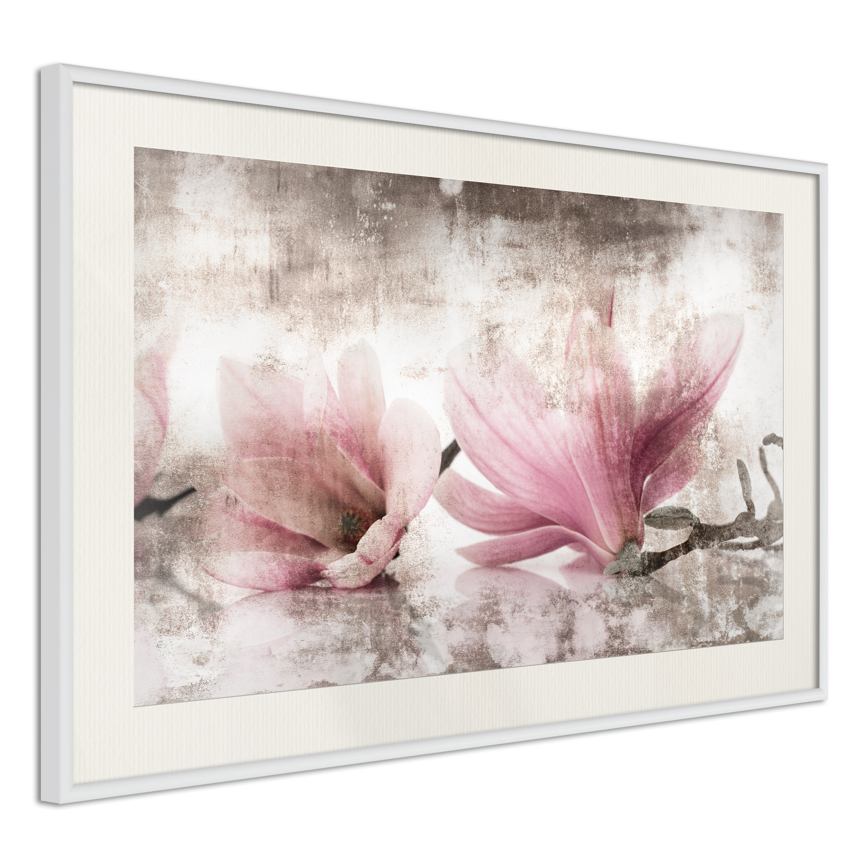 Poster - Picked Magnolias - 90x60