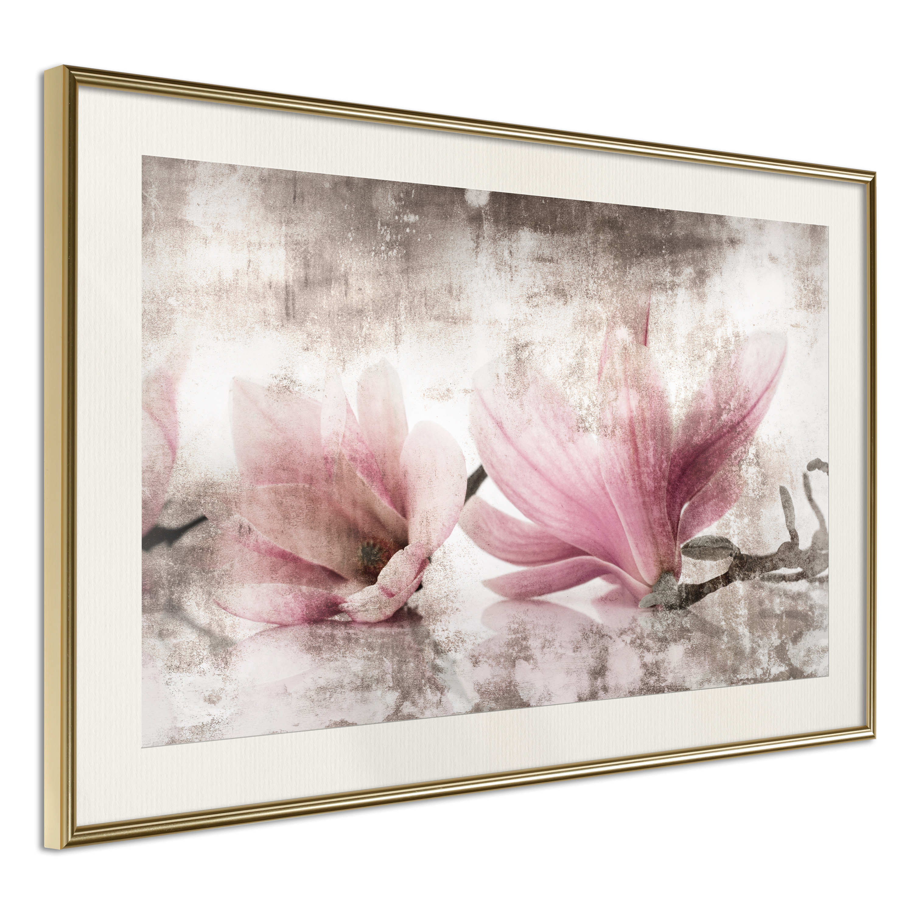 Poster - Picked Magnolias - 90x60