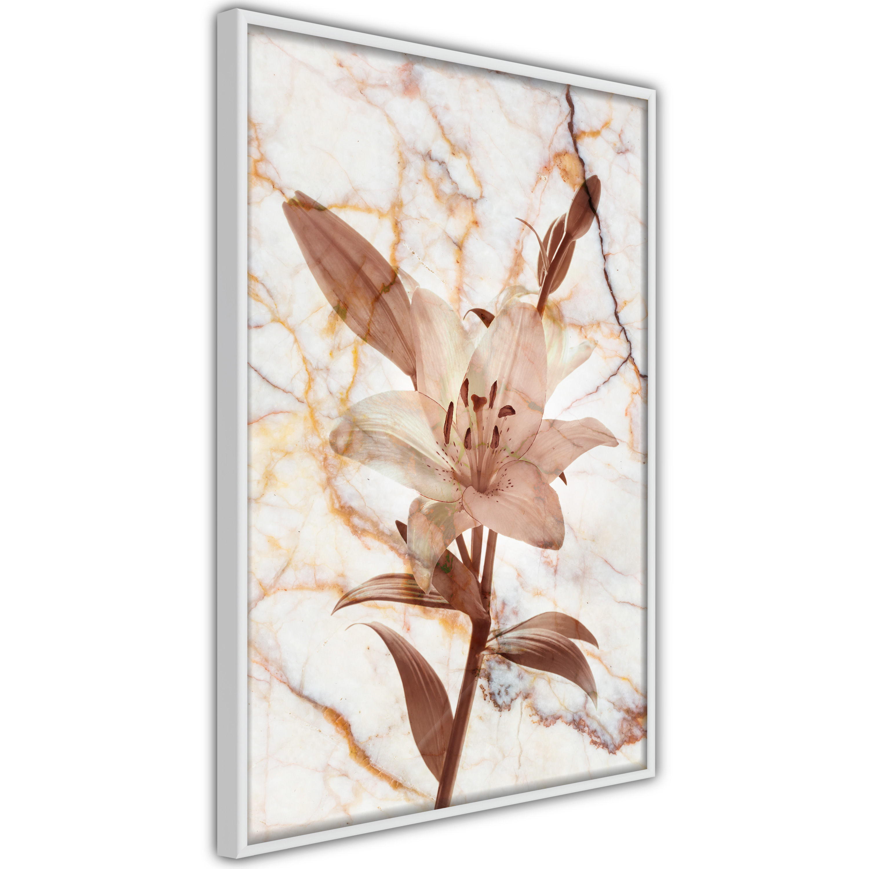 Poster - Lily on Marble Background - 20x30