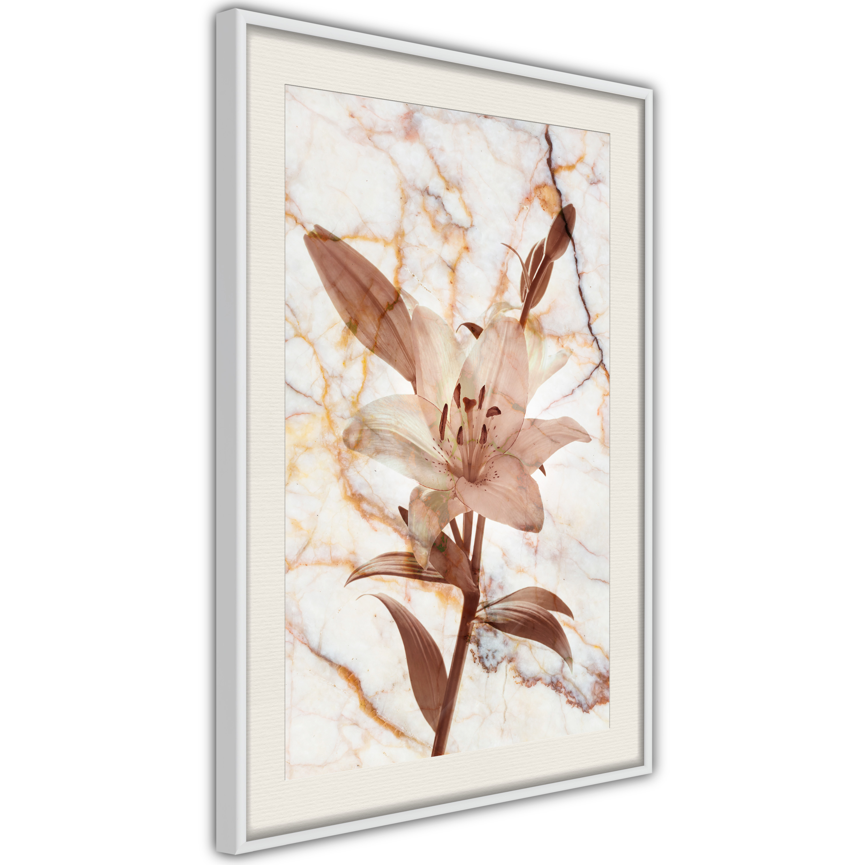 Poster - Lily on Marble Background - 40x60