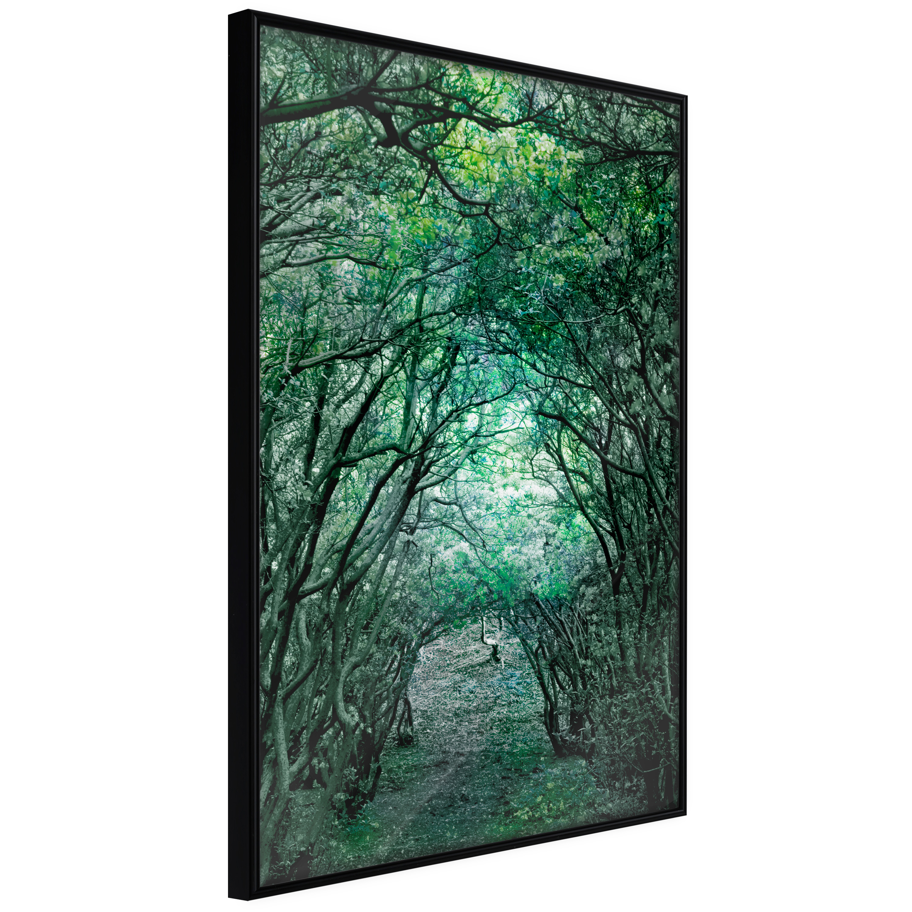 Poster - Tree Tunnel - 20x30
