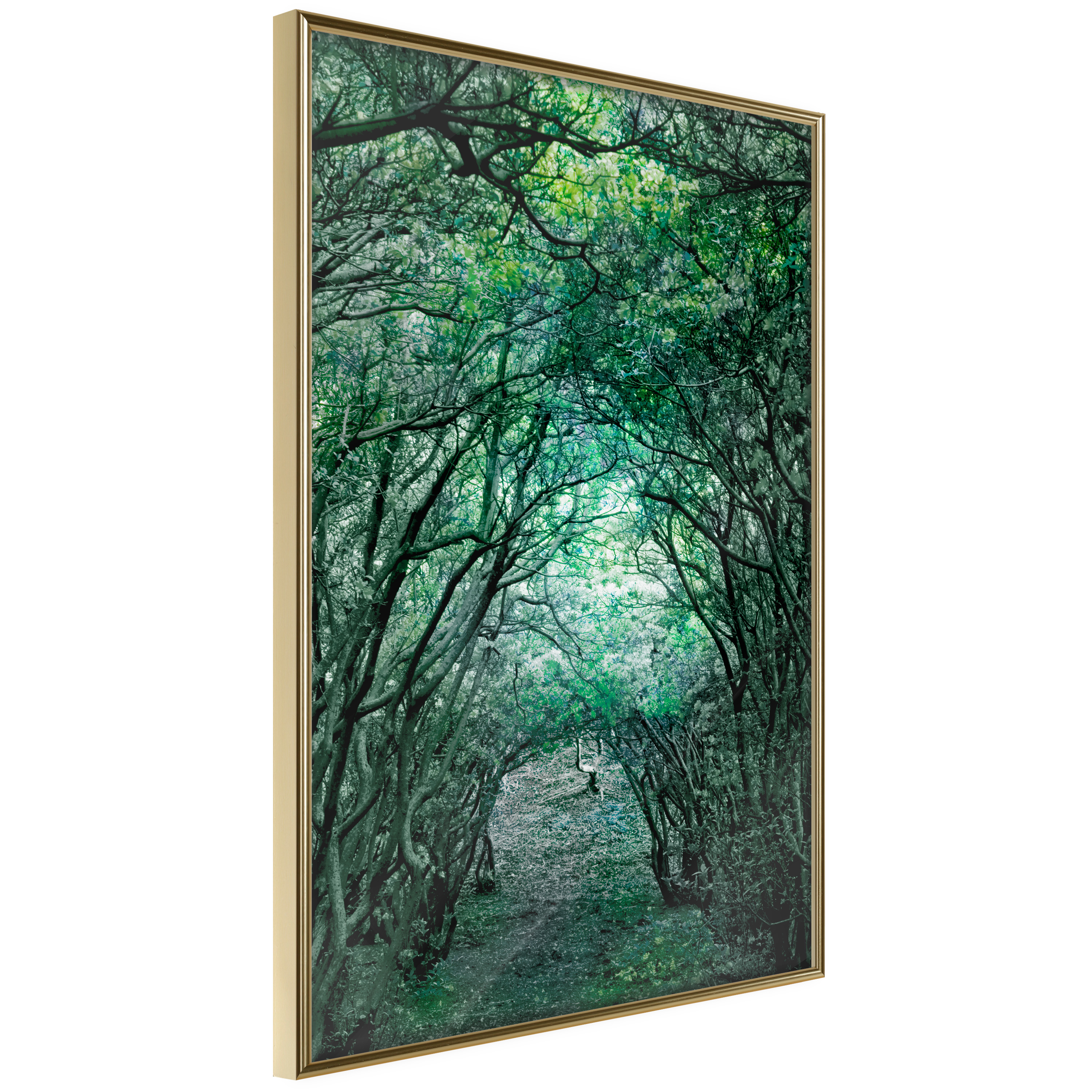 Poster - Tree Tunnel - 40x60