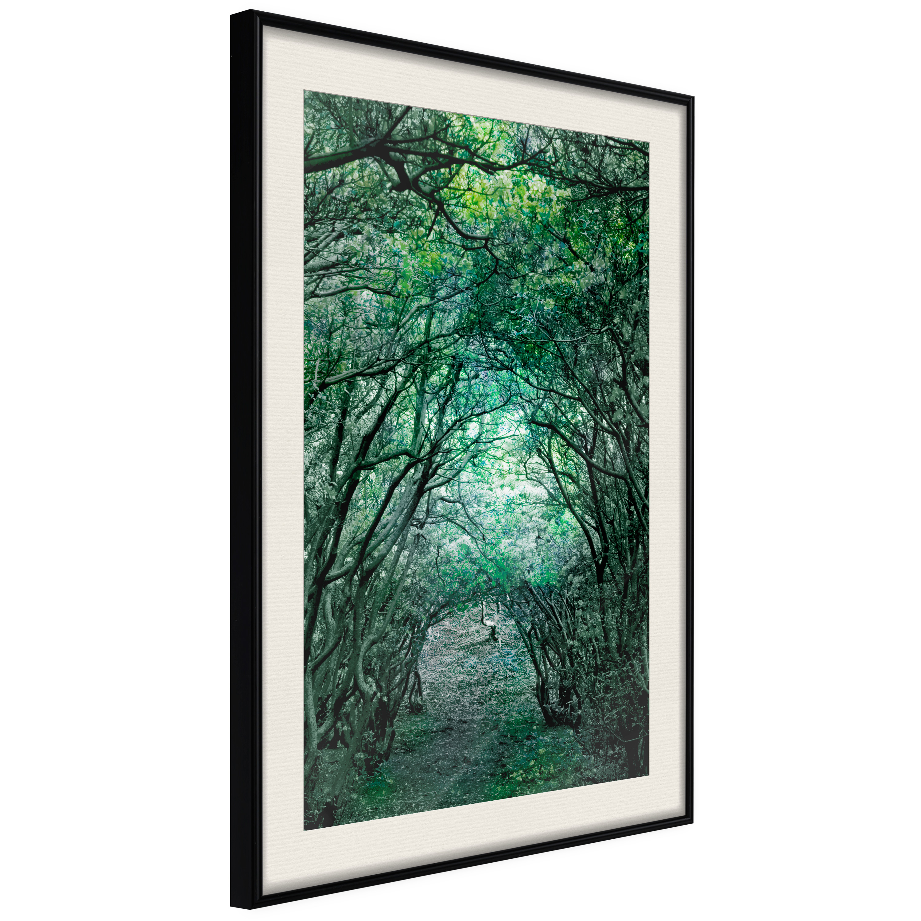 poster-tree-tunnel-20x30-254059