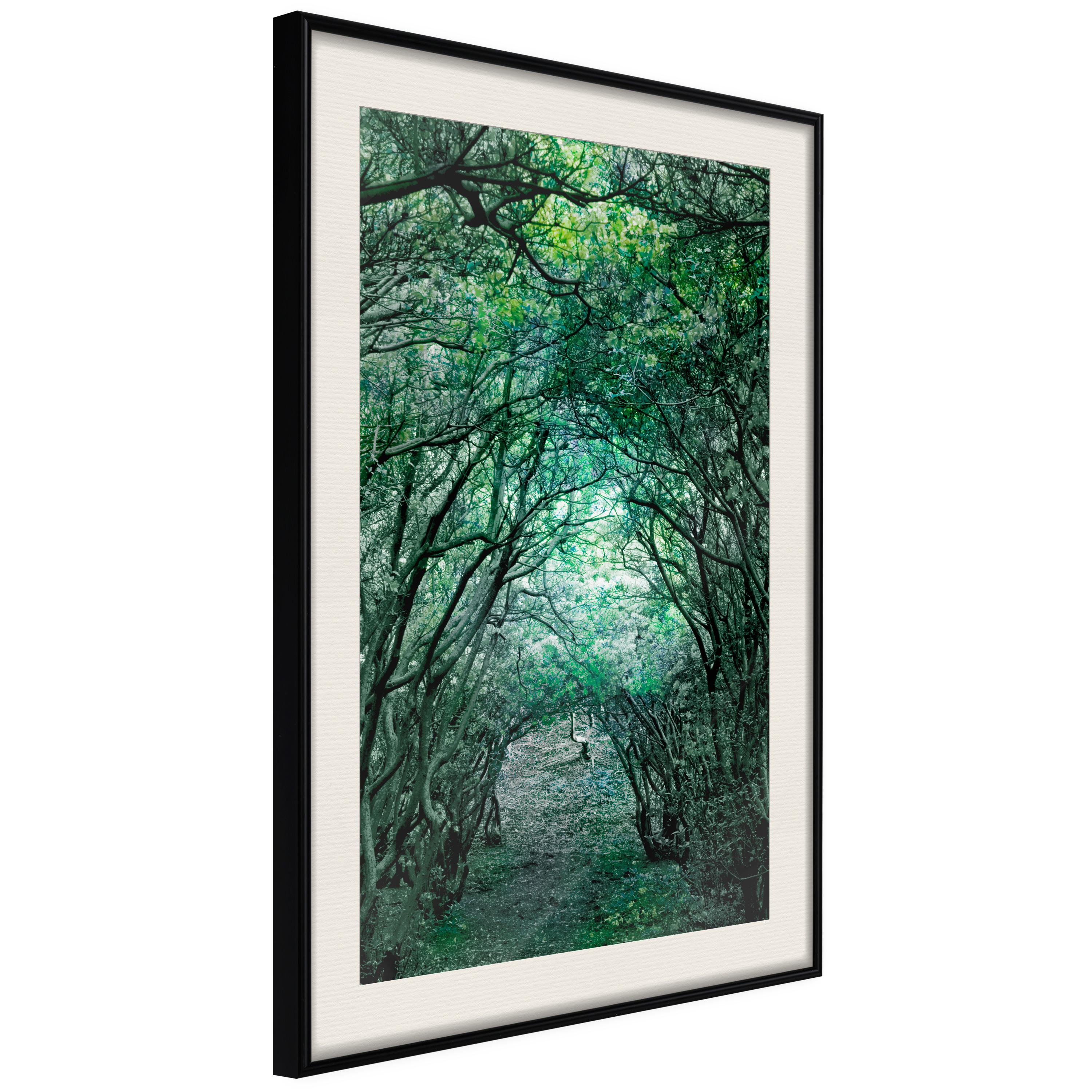 Poster - Tree Tunnel - 20x30