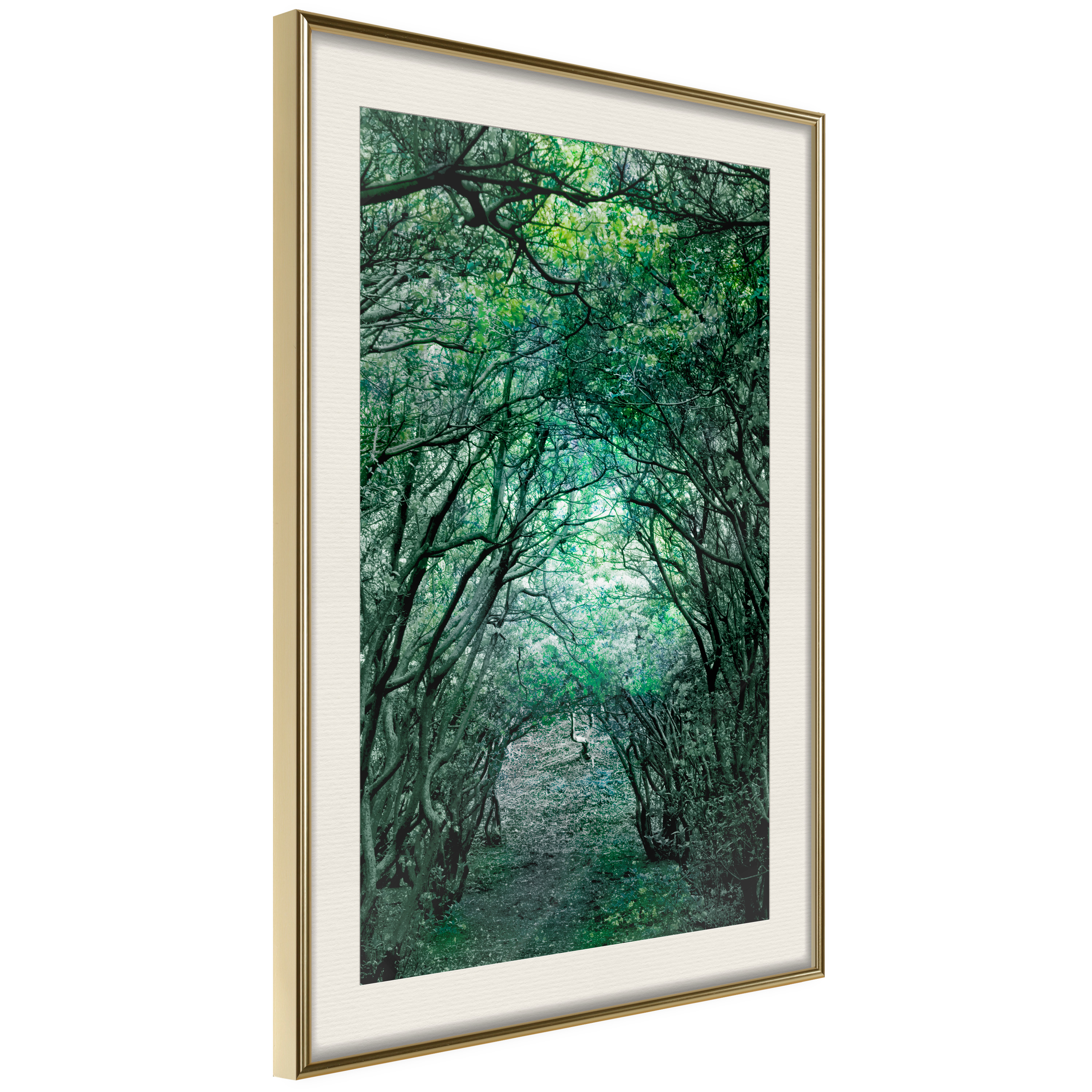 Poster - Tree Tunnel - 40x60
