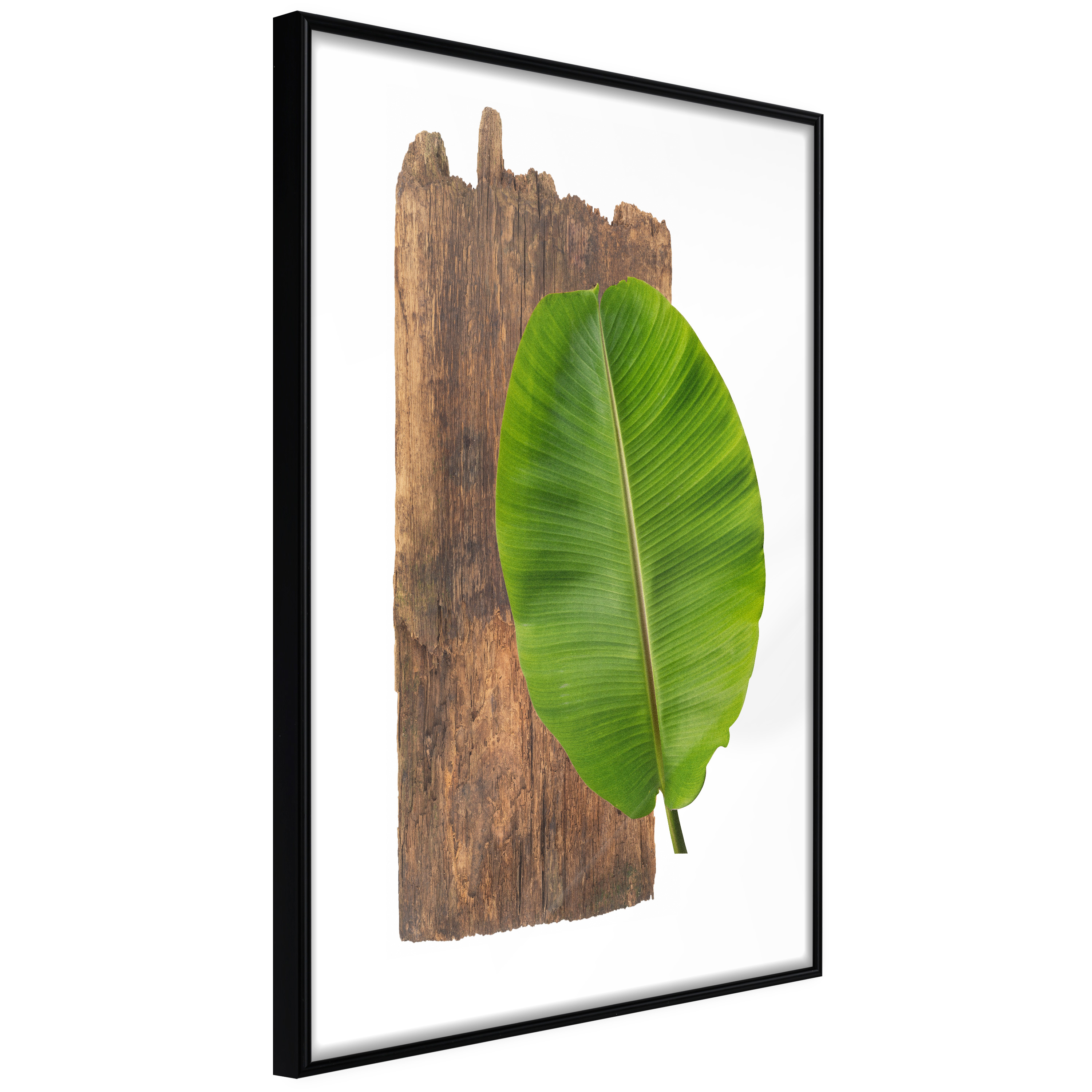 Poster - Forest Nature - 20x30