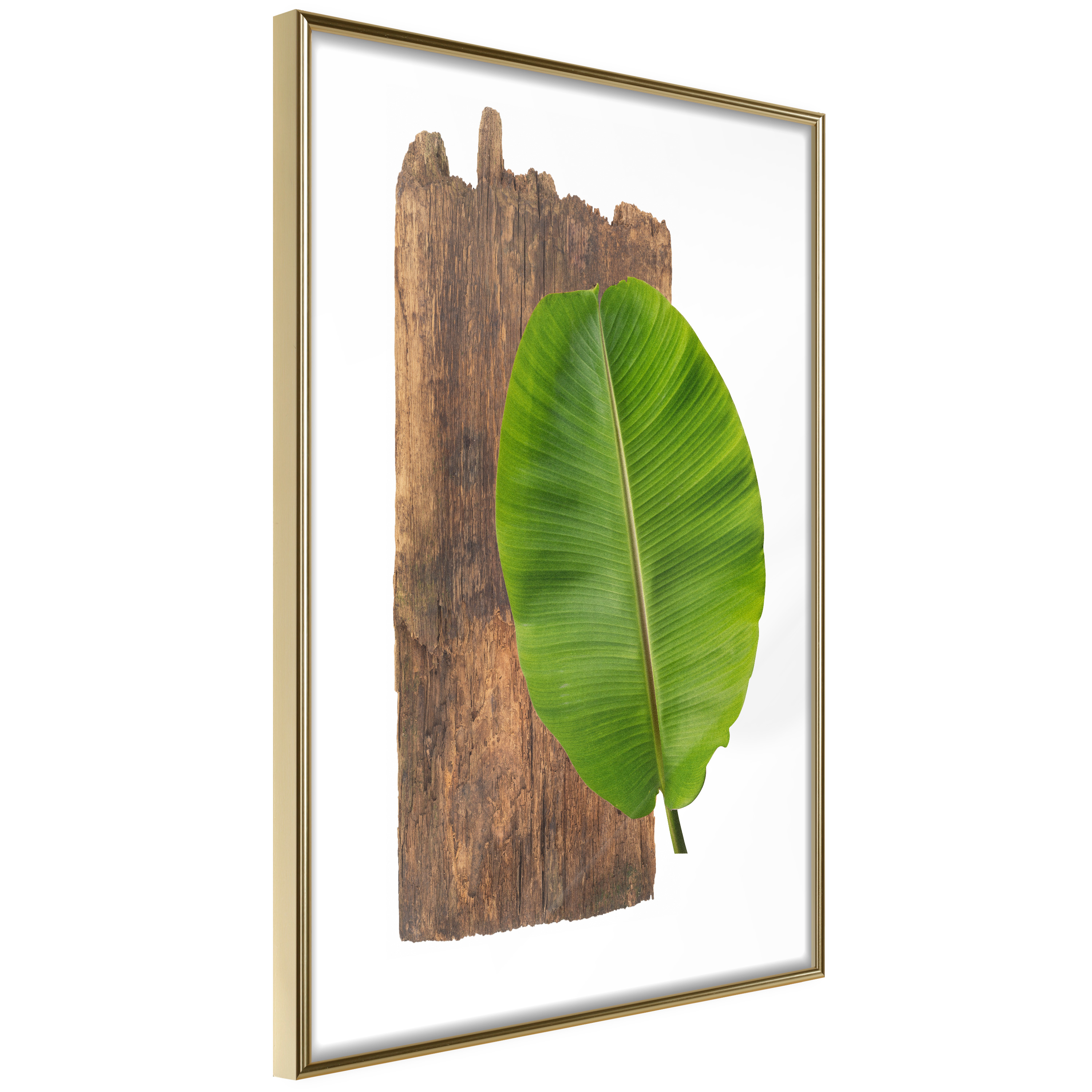 Poster - Forest Nature - 30x45