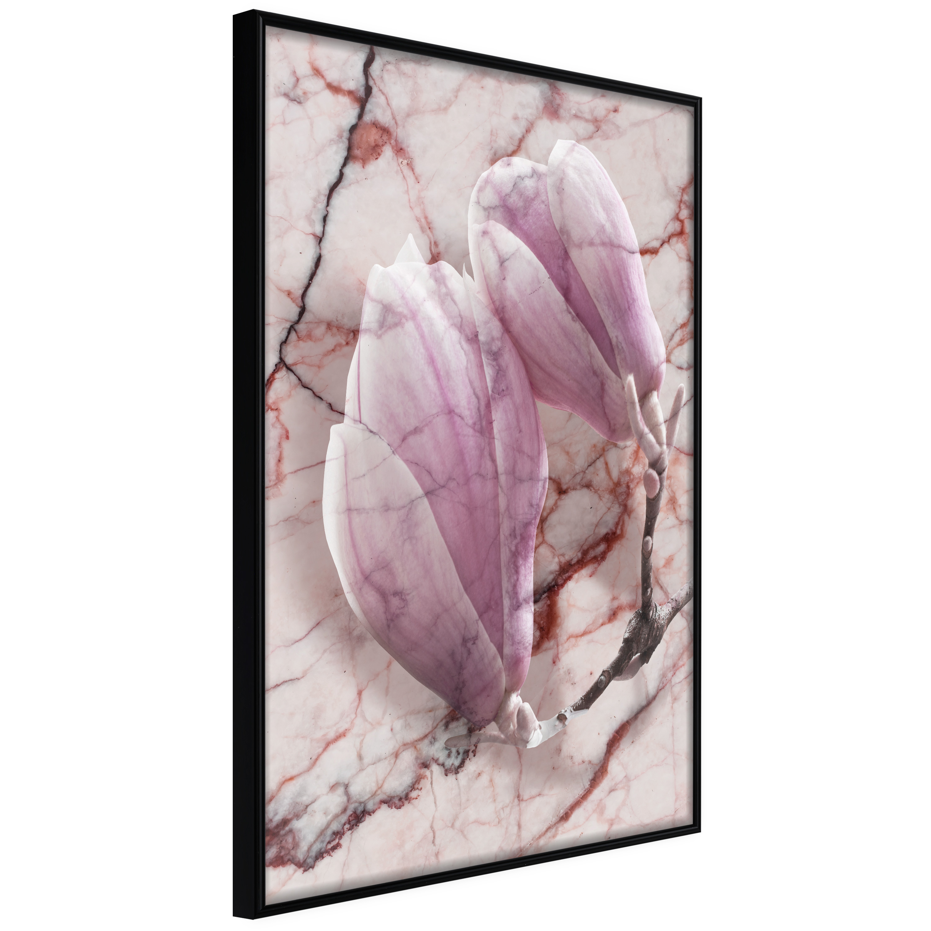Poster - Magnolia on Marble Background - 20x30