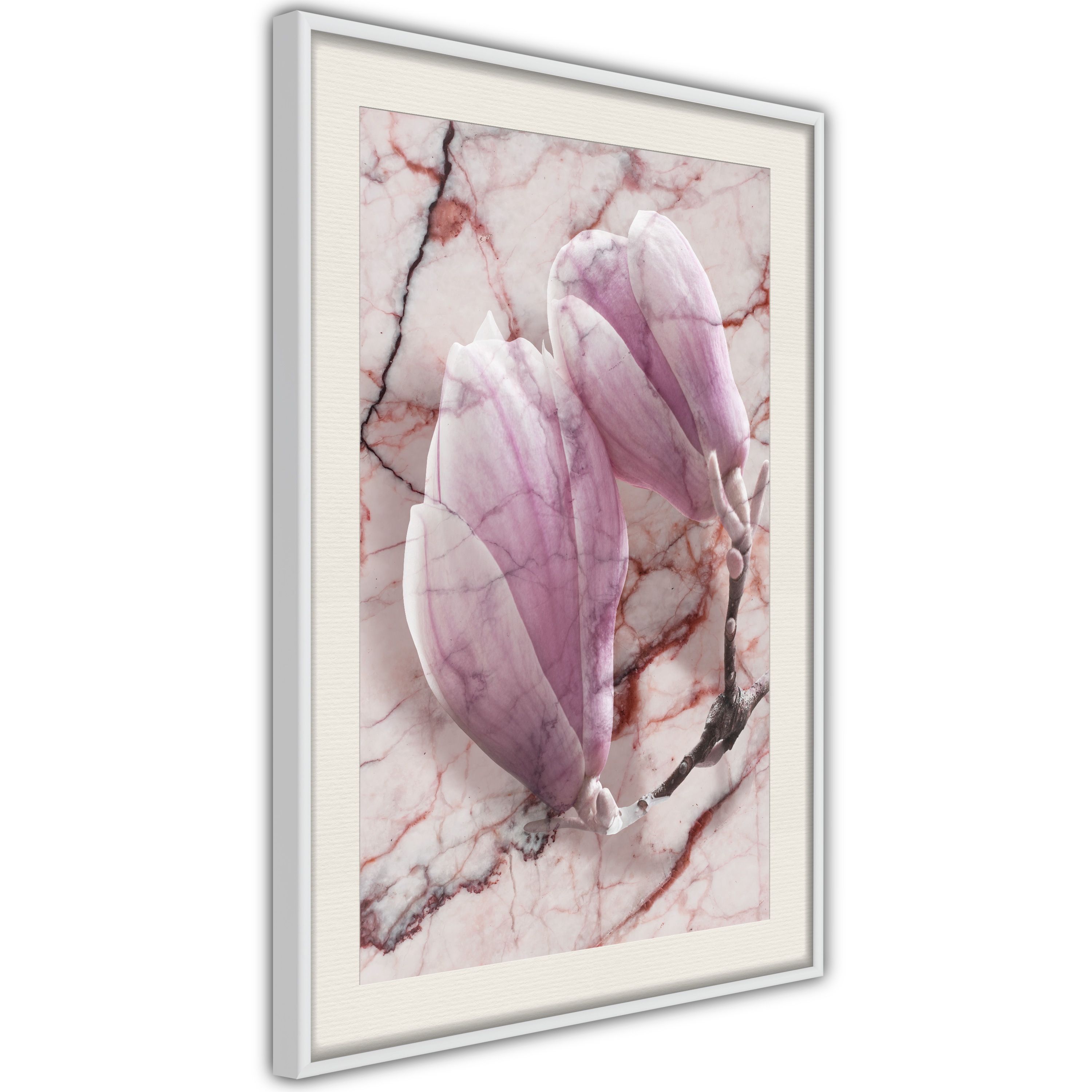Poster - Magnolia on Marble Background - 30x45