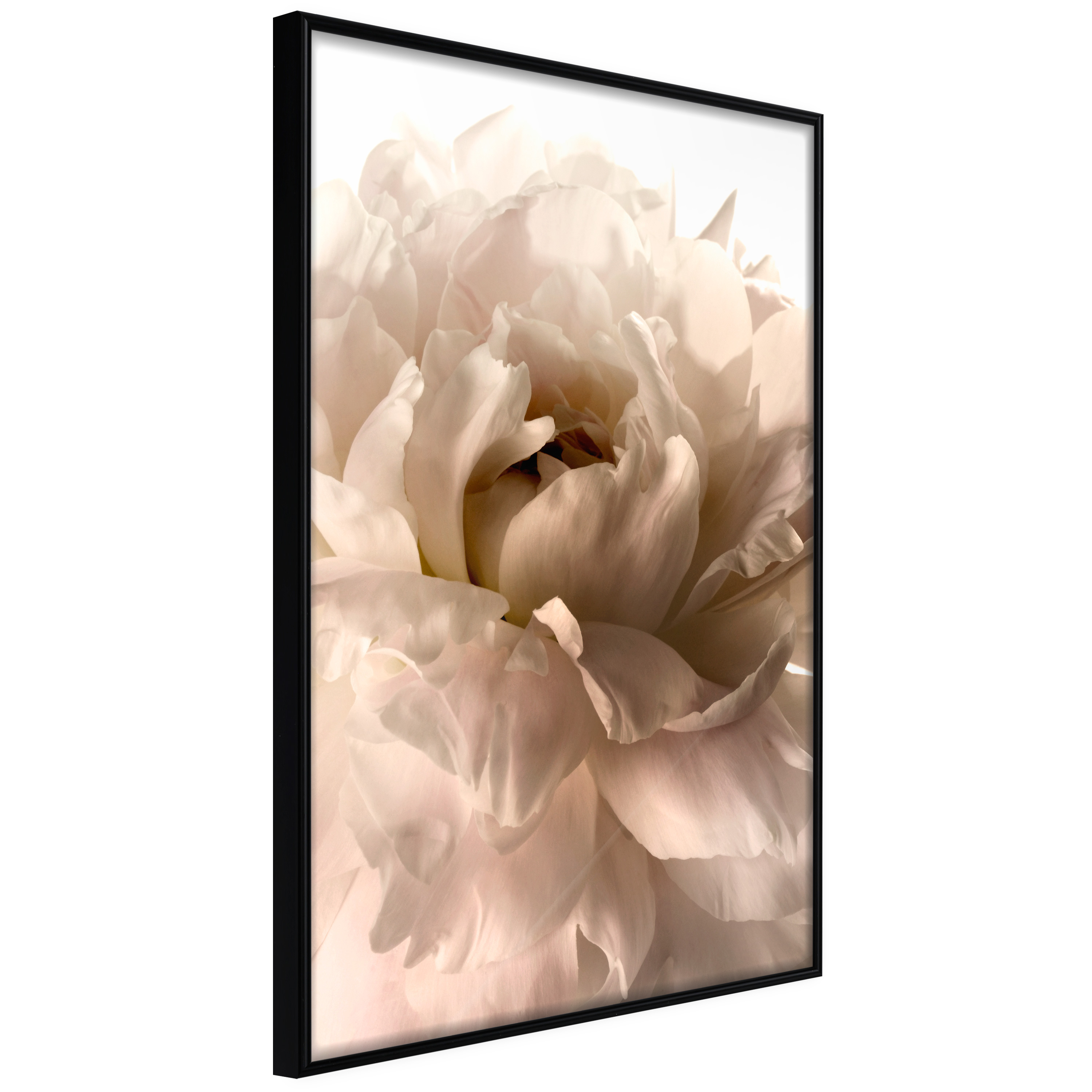 Poster - Bloom - 20x30