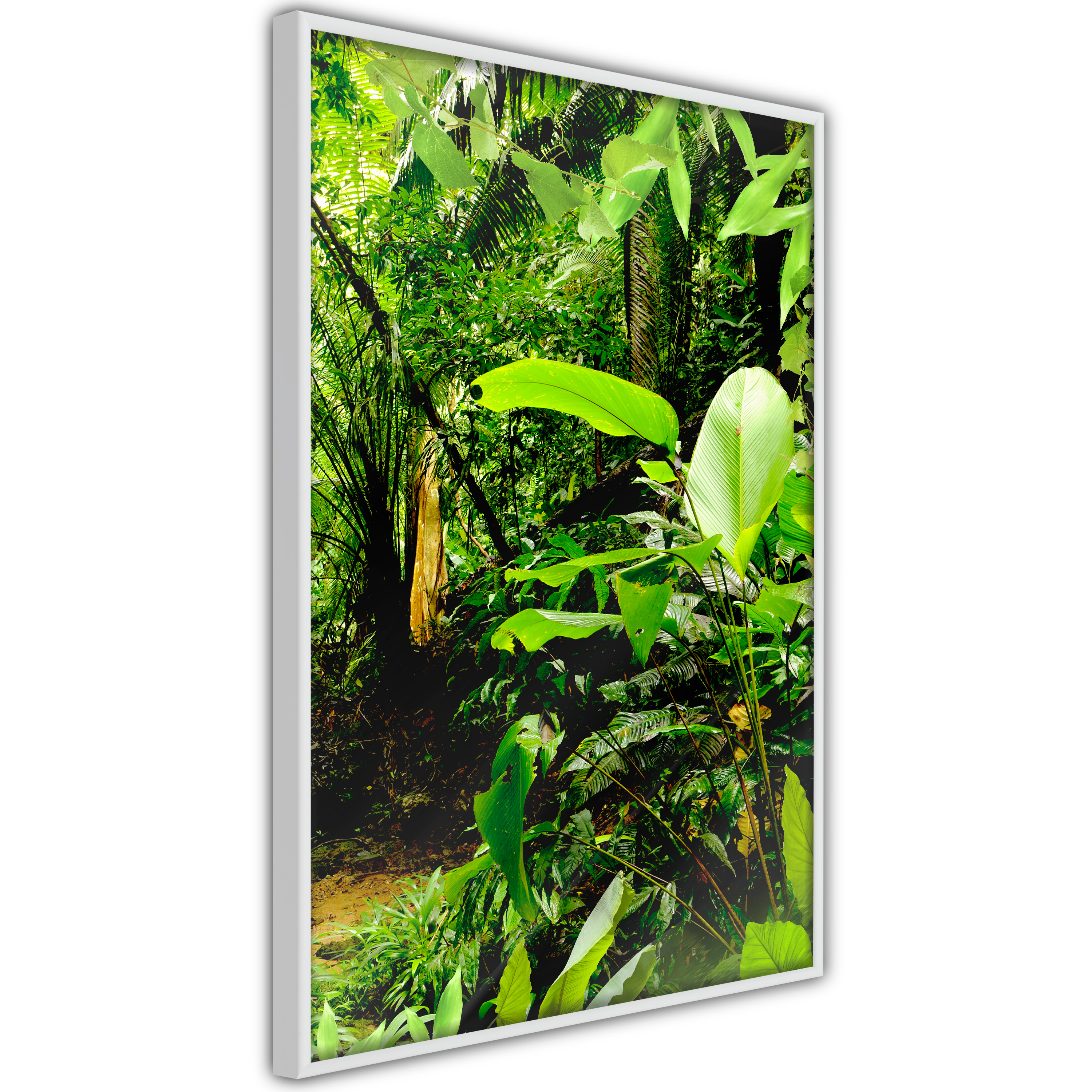 Poster - In the Rainforest - 40x60