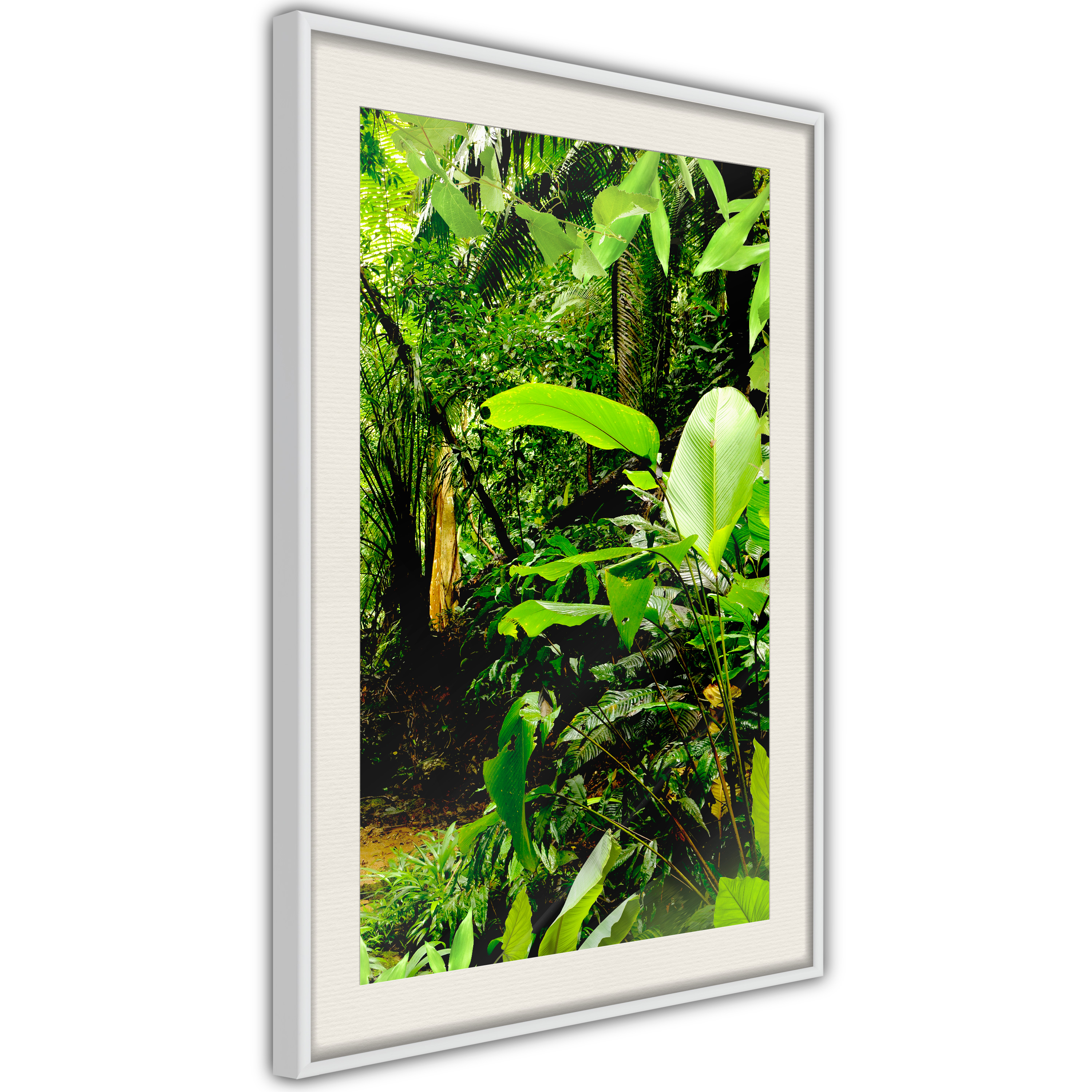 Poster - In the Rainforest - 30x45
