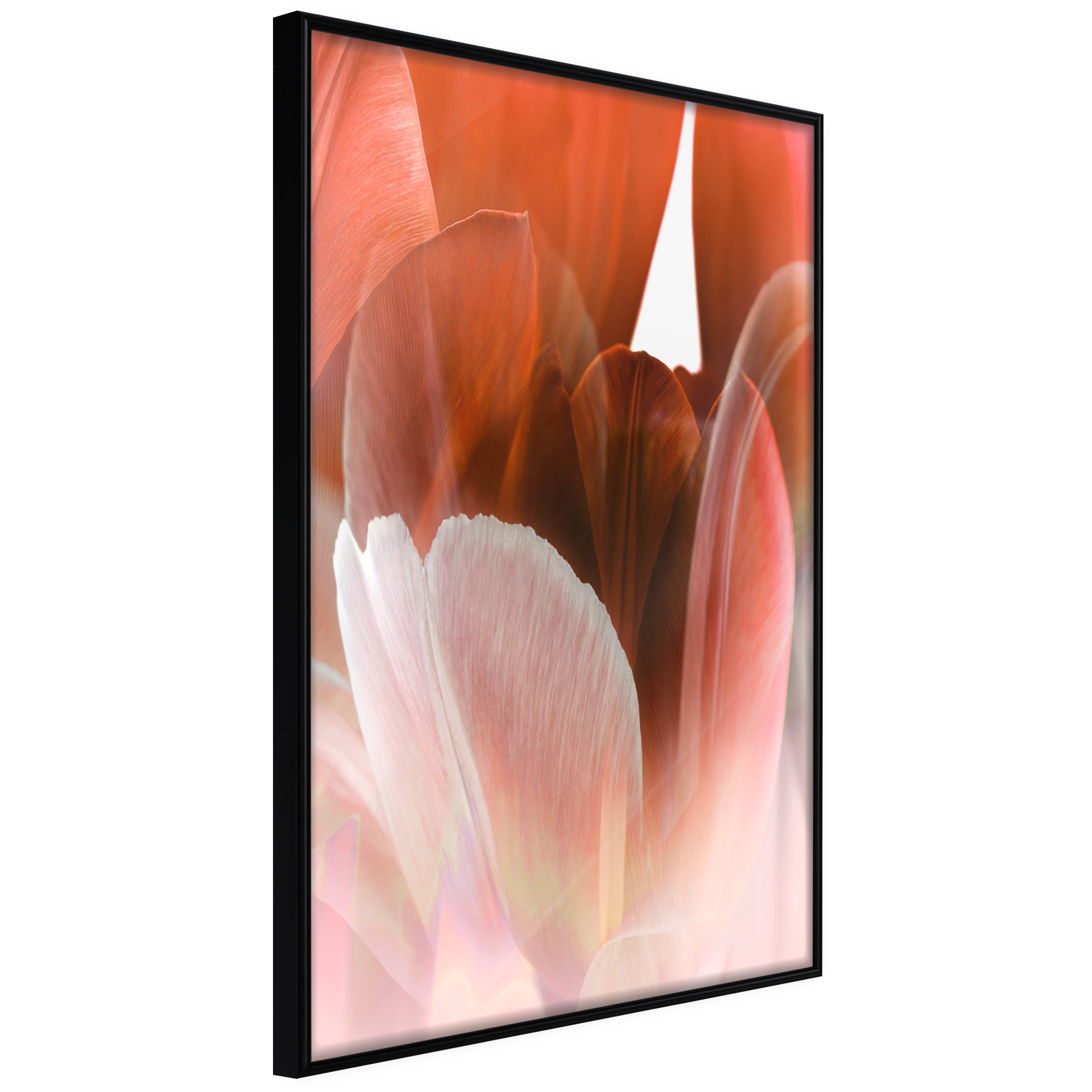 Poster - Tulip Petals - 20x30
