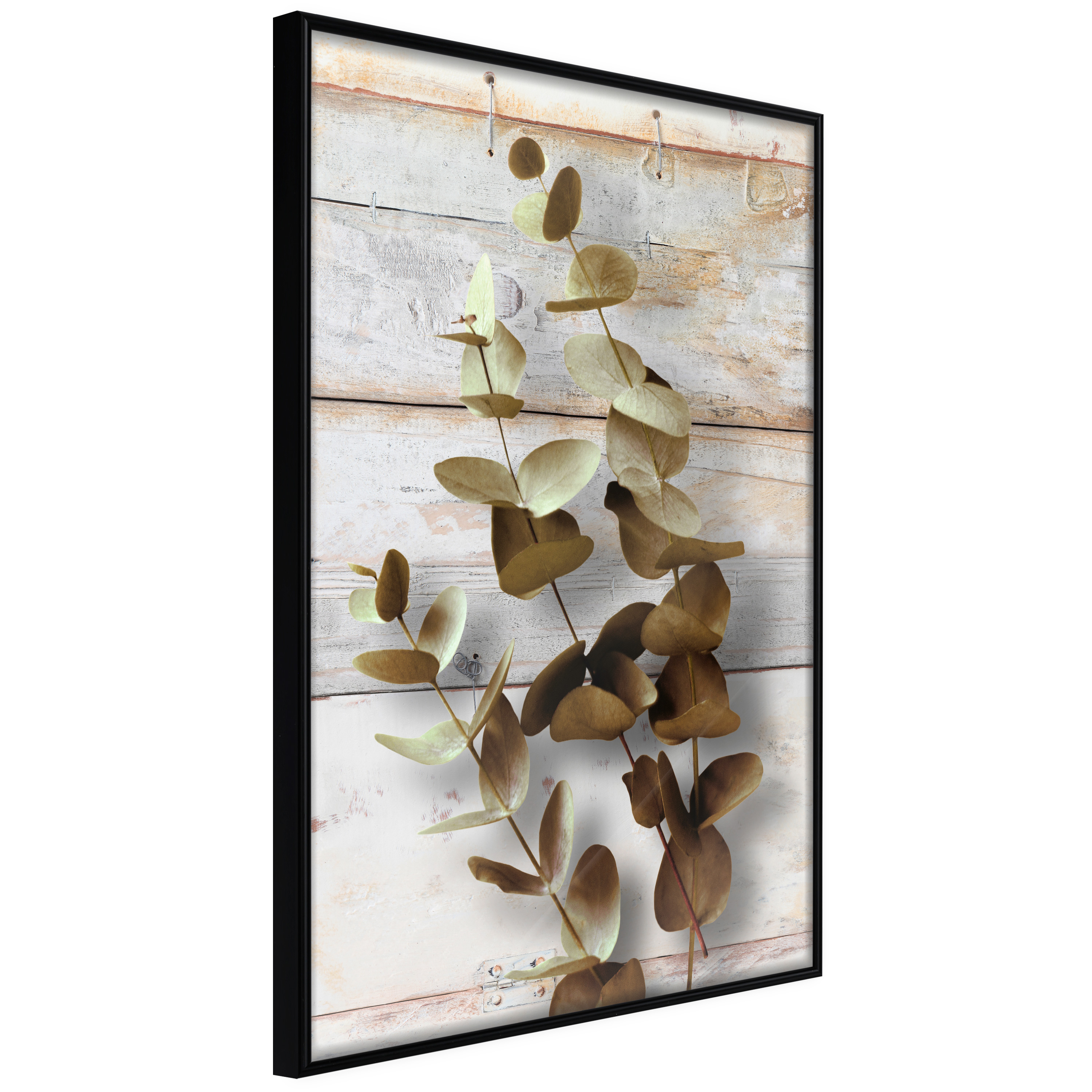 Poster - Decorative Twigs - 20x30