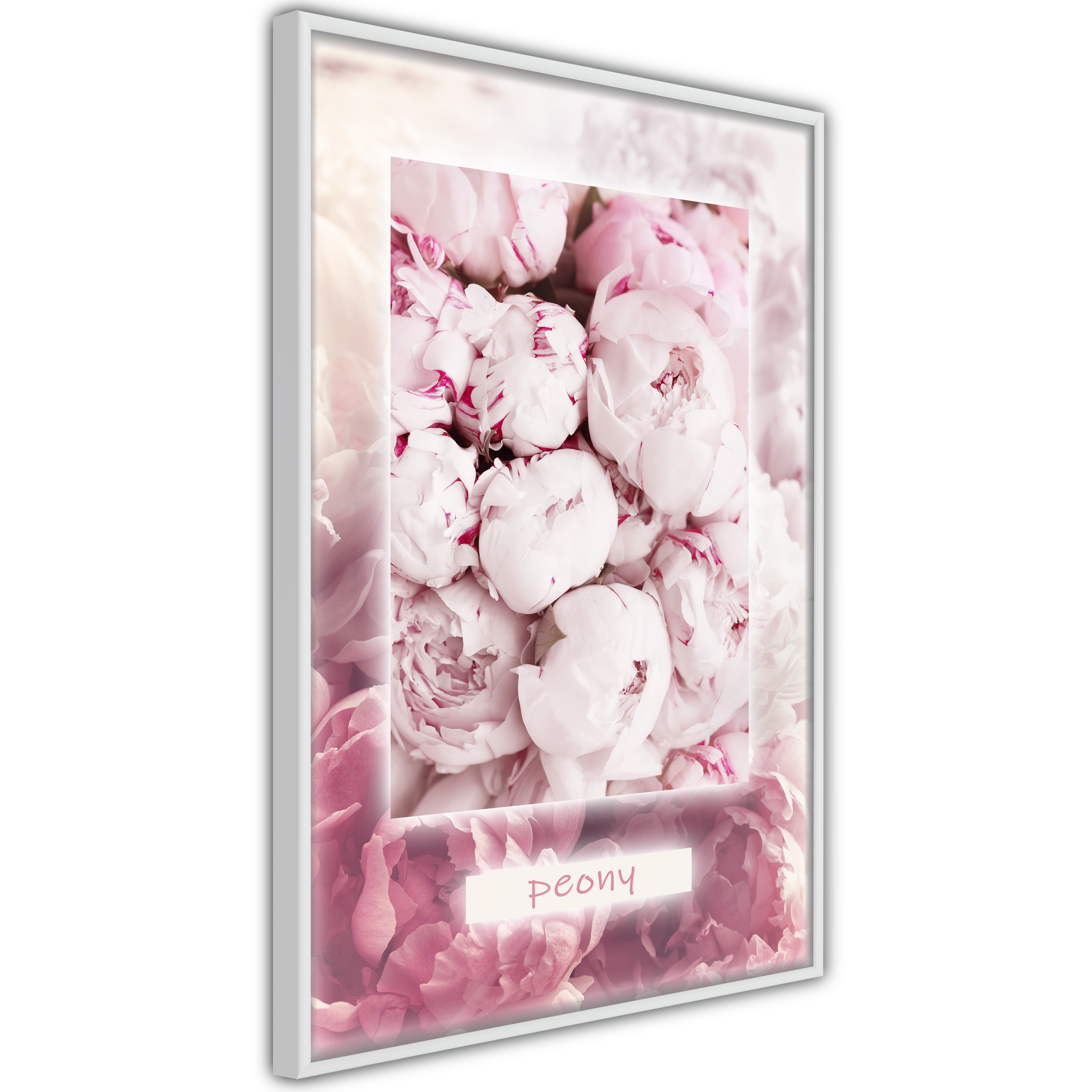 Poster - Scent of Peonies - 40x60