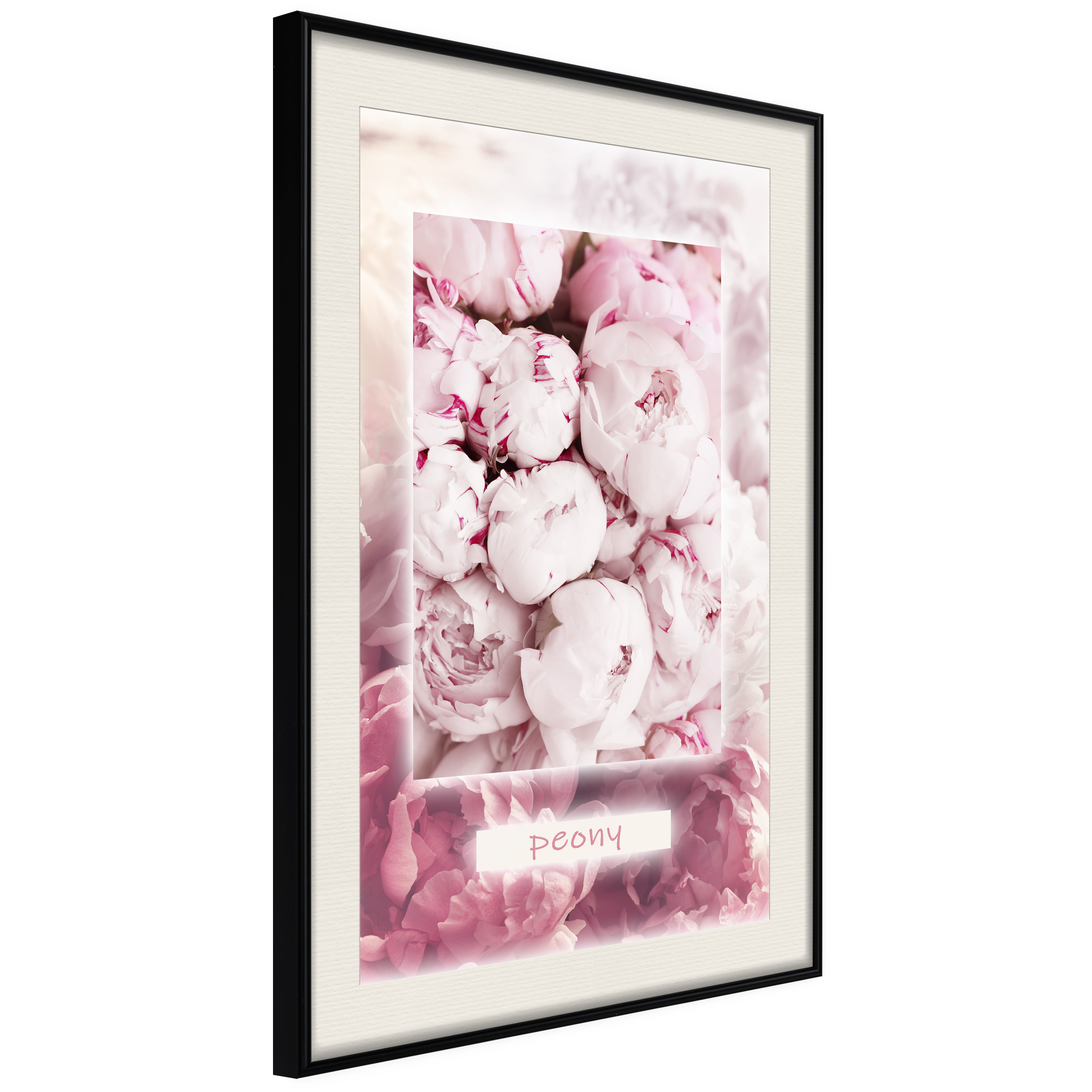 Poster - Scent of Peonies - 20x30