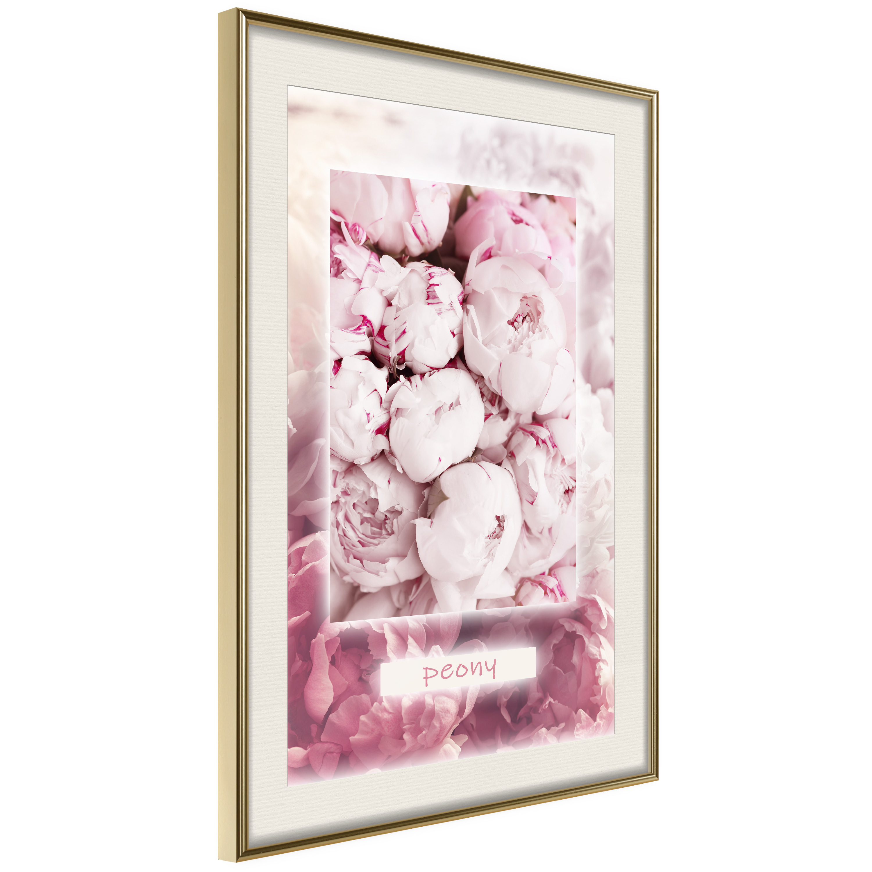 Poster - Scent of Peonies - 30x45