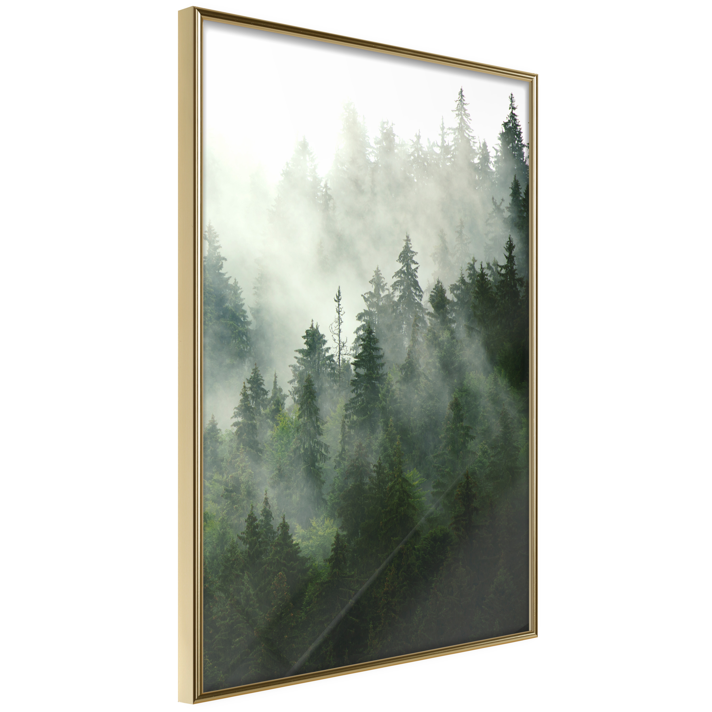 Poster - Steaming Forest - 20x30