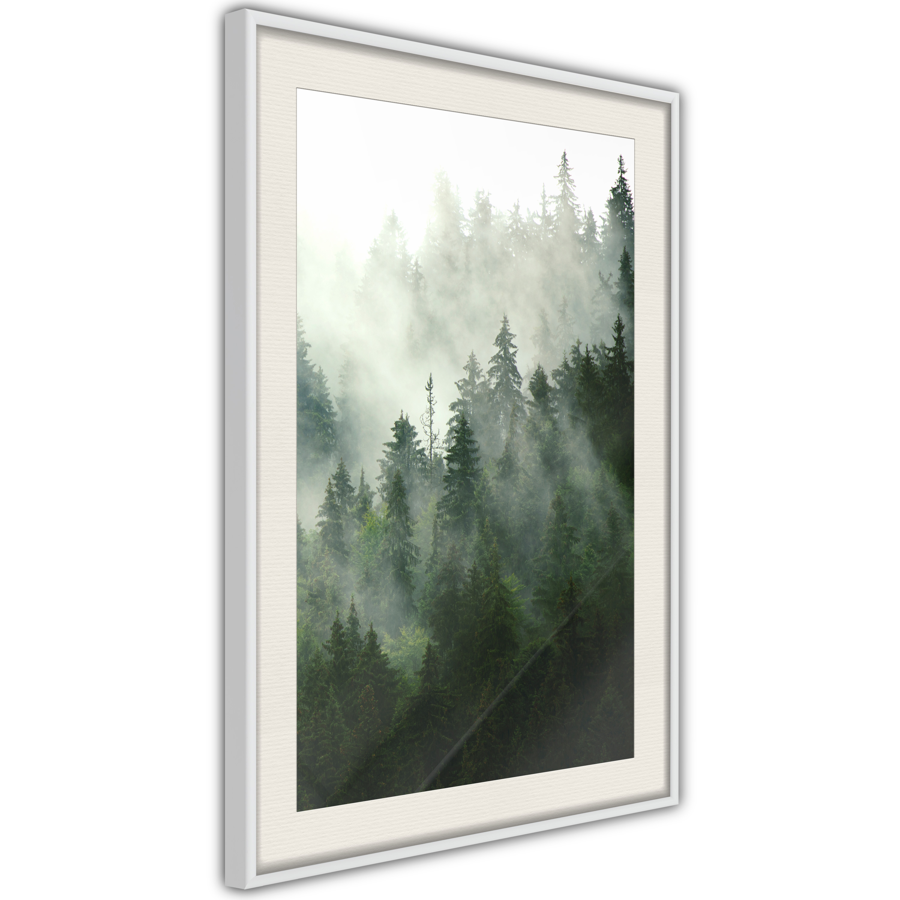 Poster - Steaming Forest - 30x45