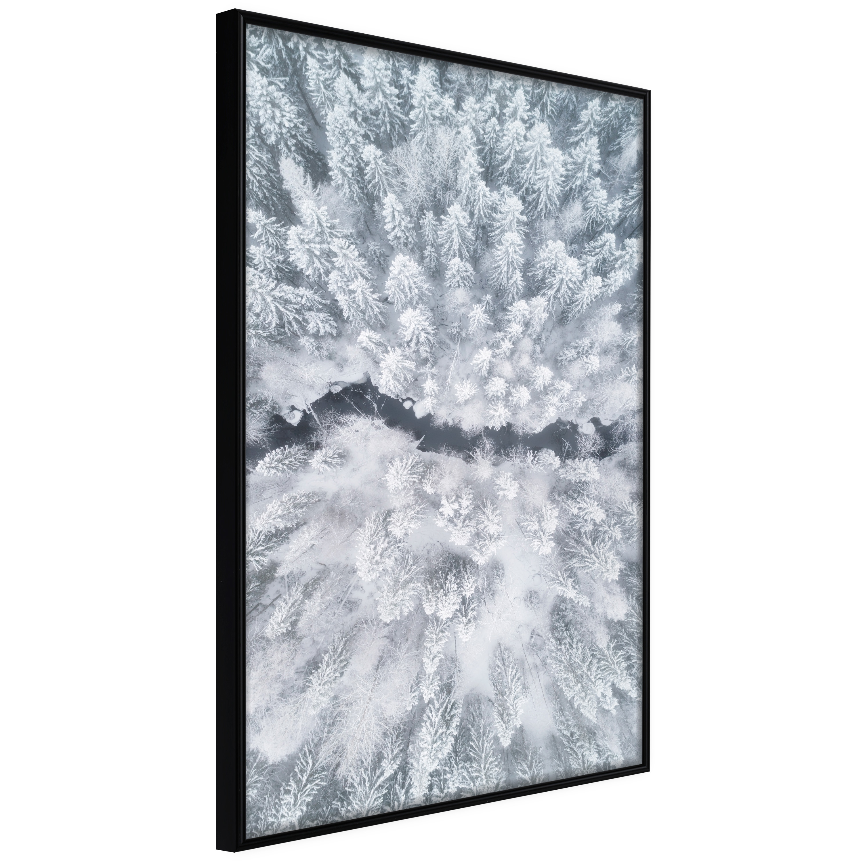 Poster - Winter Forest From a Bird's Eye View - 20x30