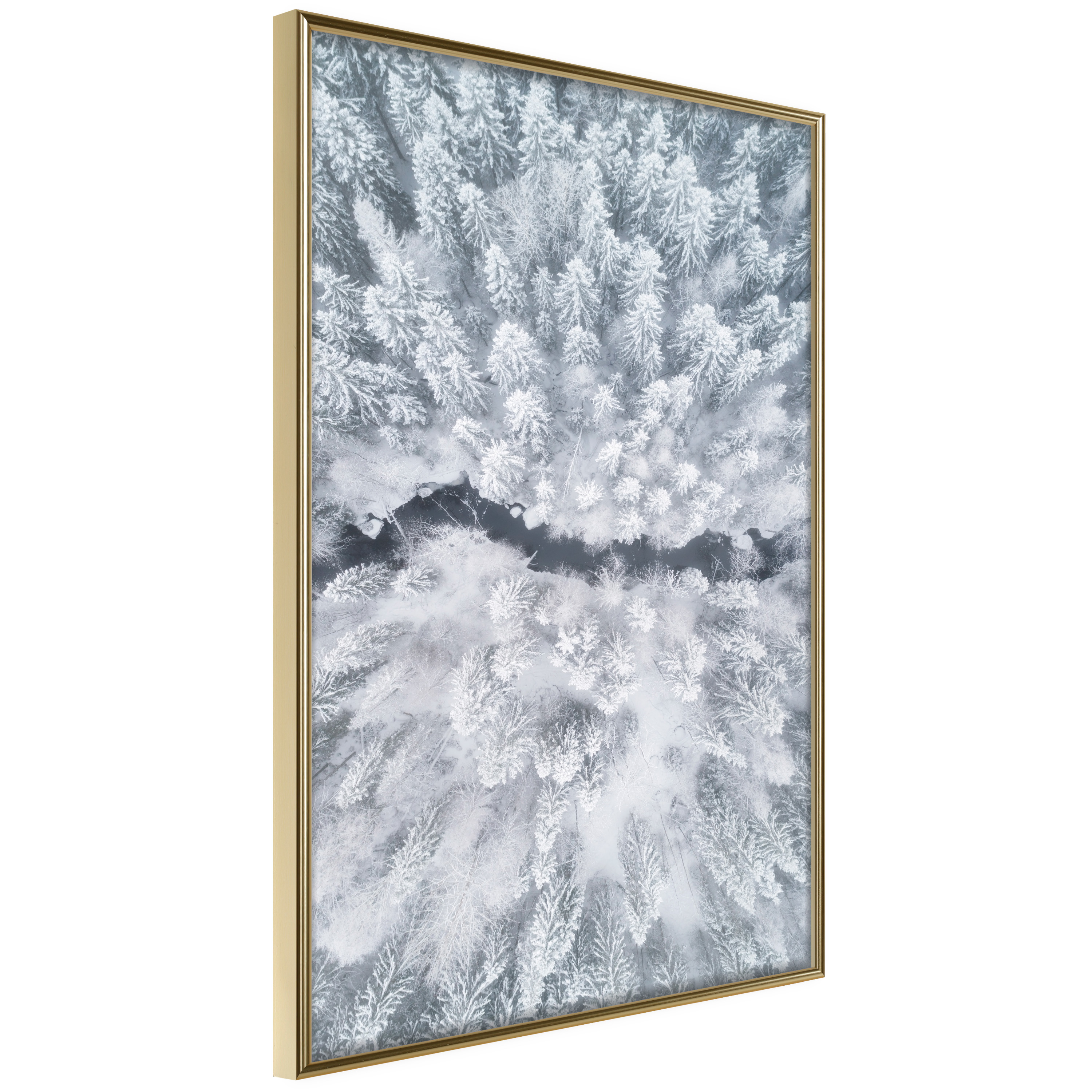 Poster - Winter Forest From a Bird's Eye View - 40x60