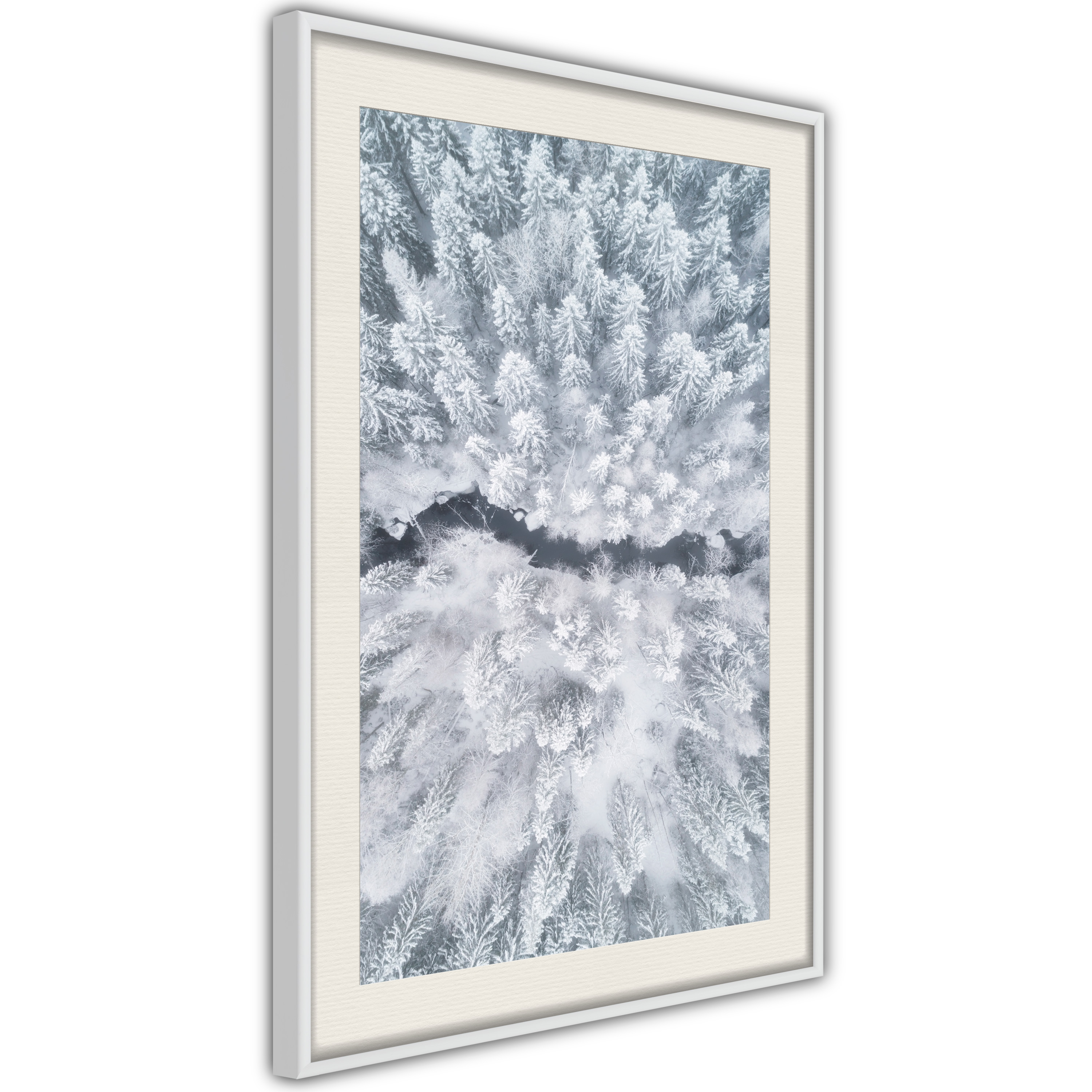 poster-winter-forest-from-a-bird-s-eye-view-30x45-255788