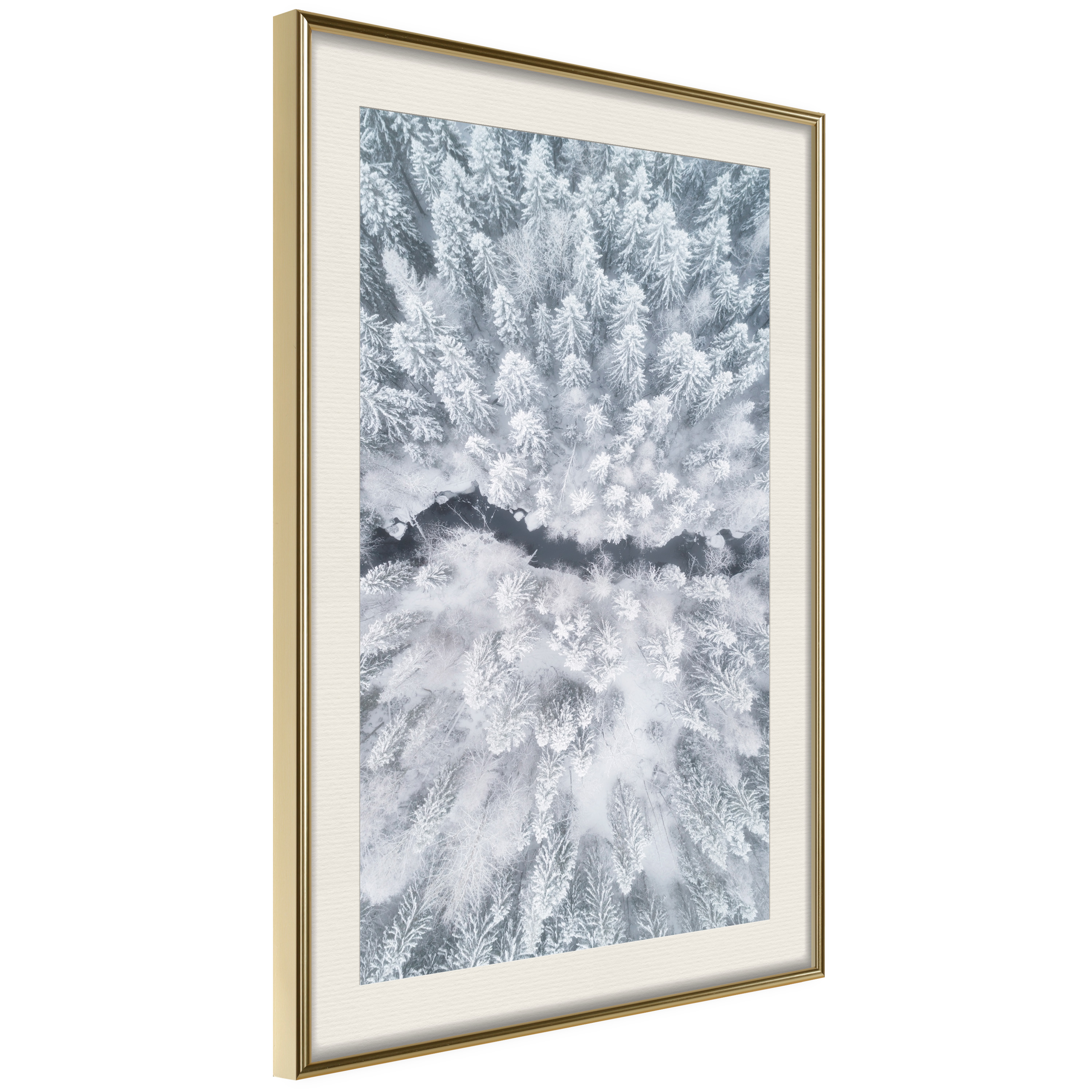 Poster - Winter Forest From a Bird's Eye View - 30x45