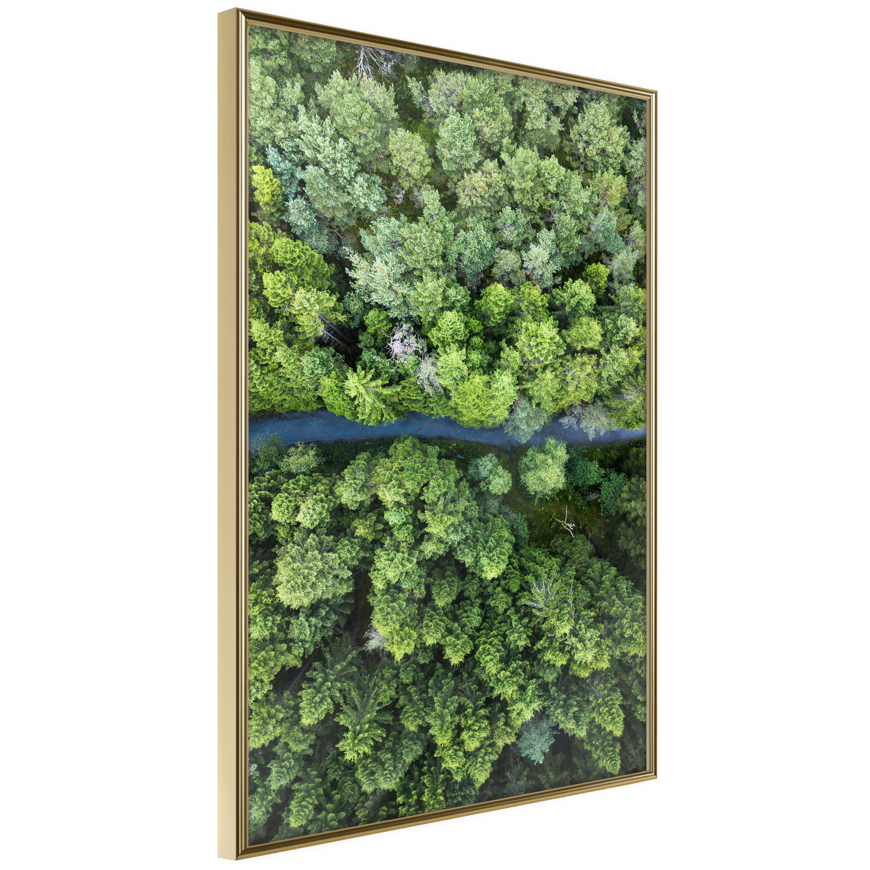 Poster - Forest from a Bird's Eye View - 30x45