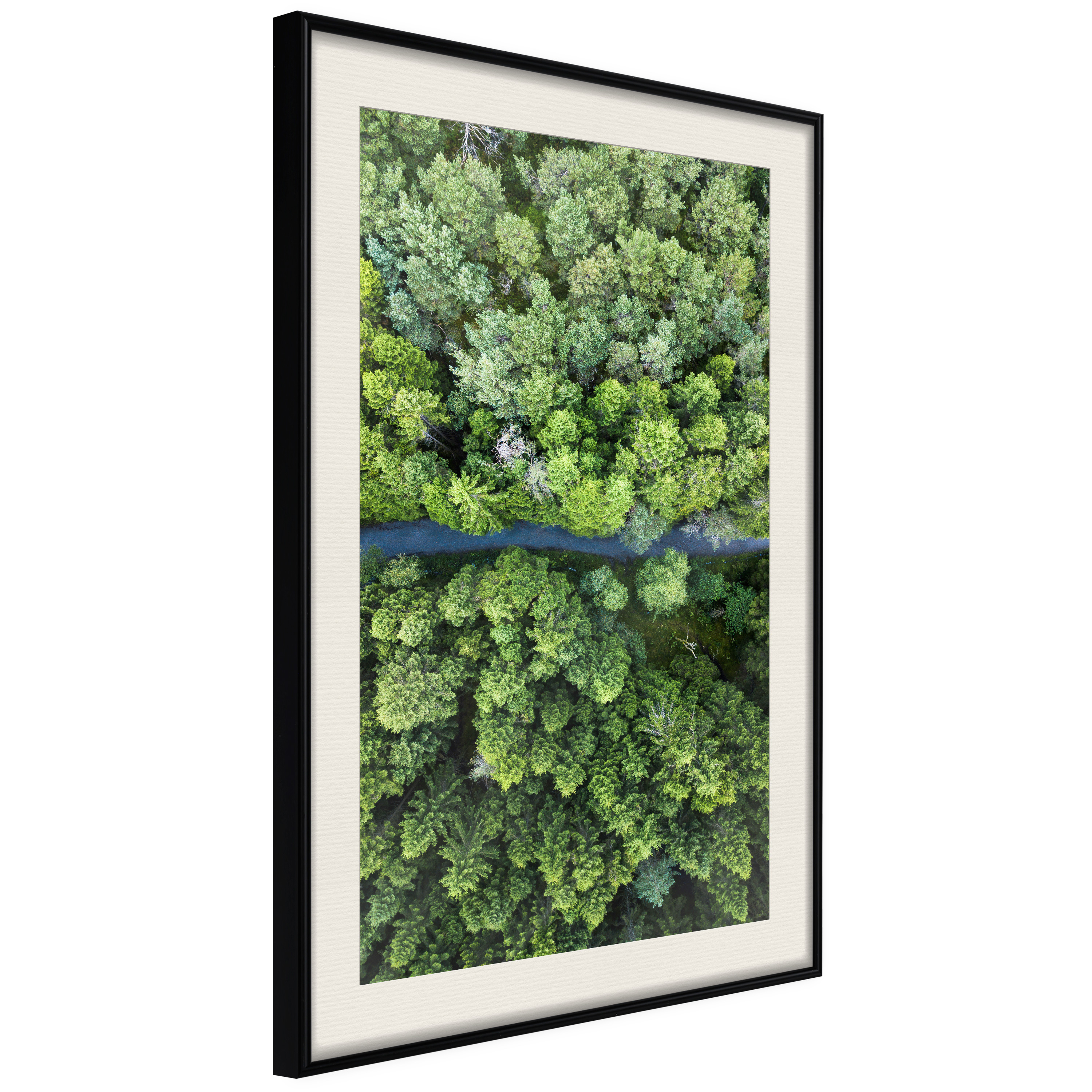 Poster - Forest from a Bird's Eye View - 40x60