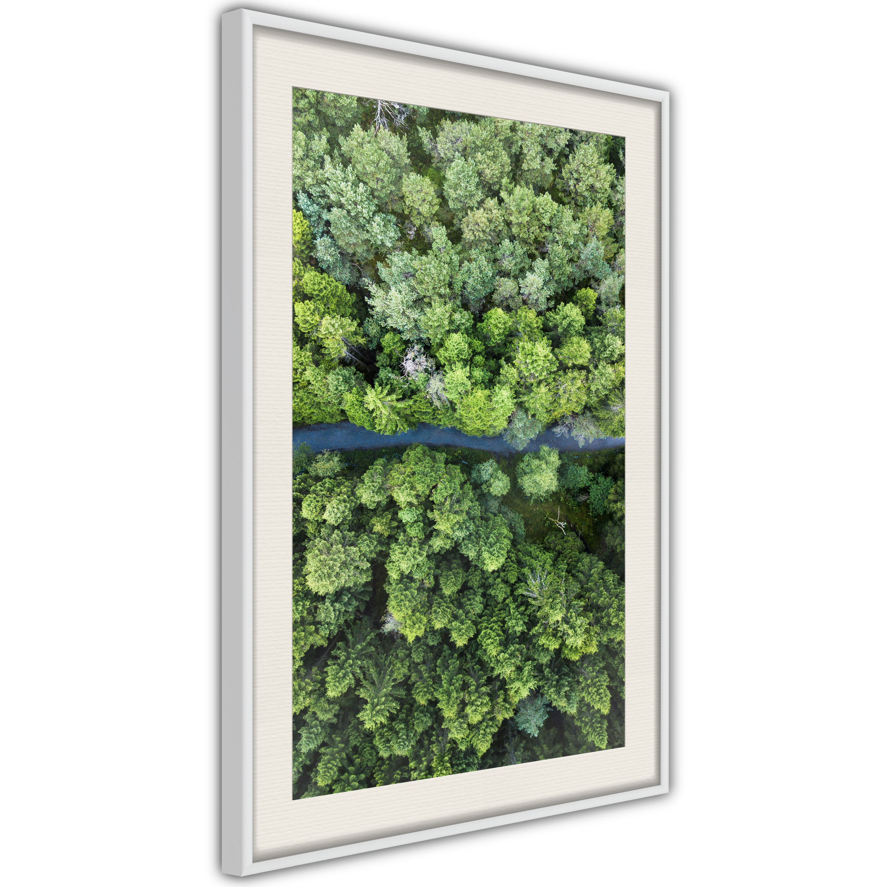 Poster - Forest from a Bird's Eye View - 40x60