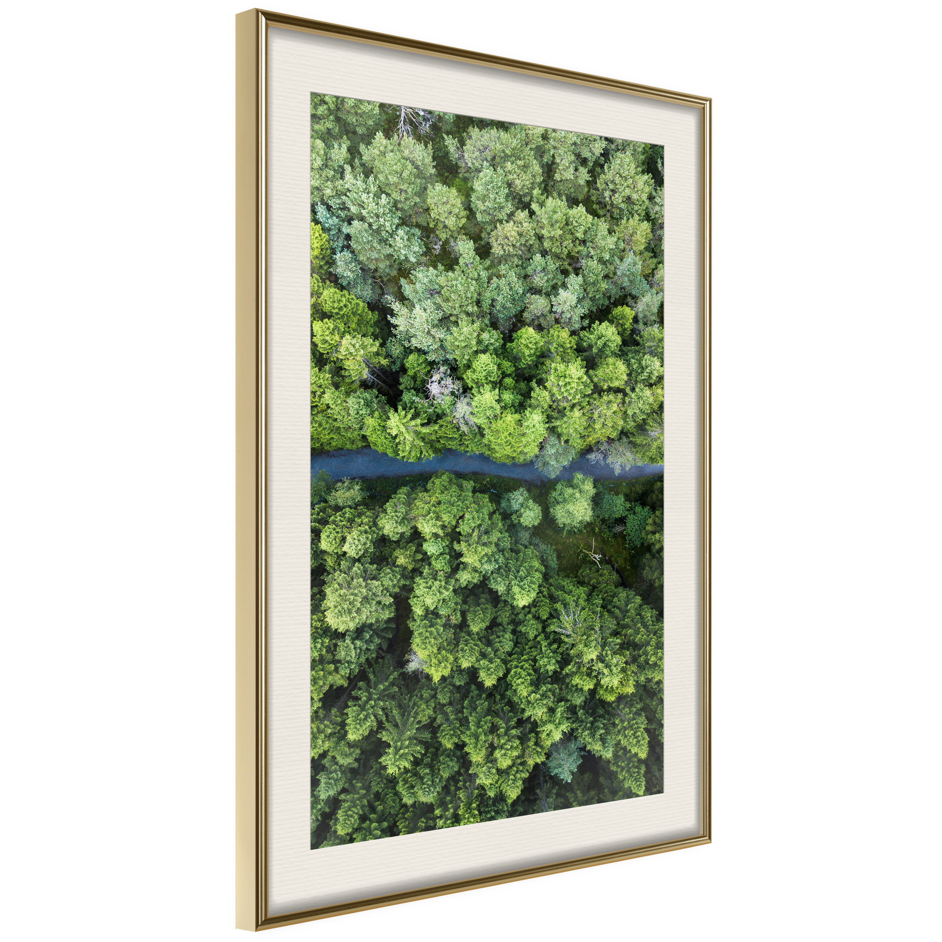 Poster - Forest from a Bird's Eye View - 20x30